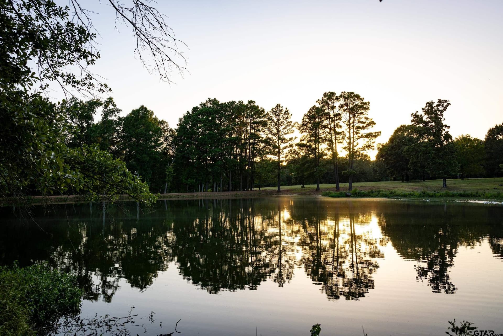 40.04 acres in Henderson County - photo 36