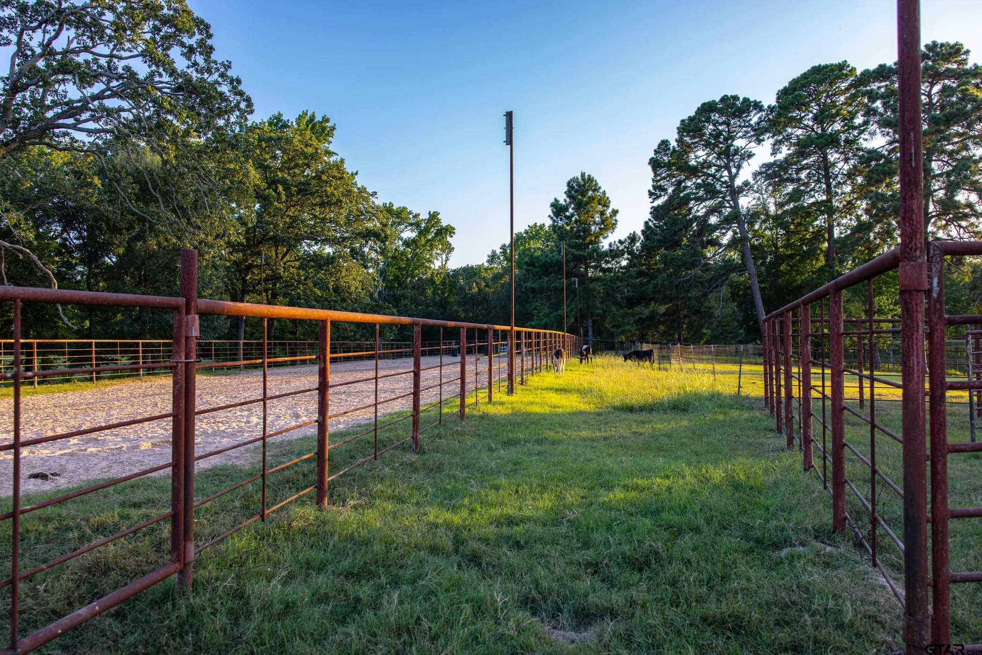 40.04 acres in Henderson County - photo 28