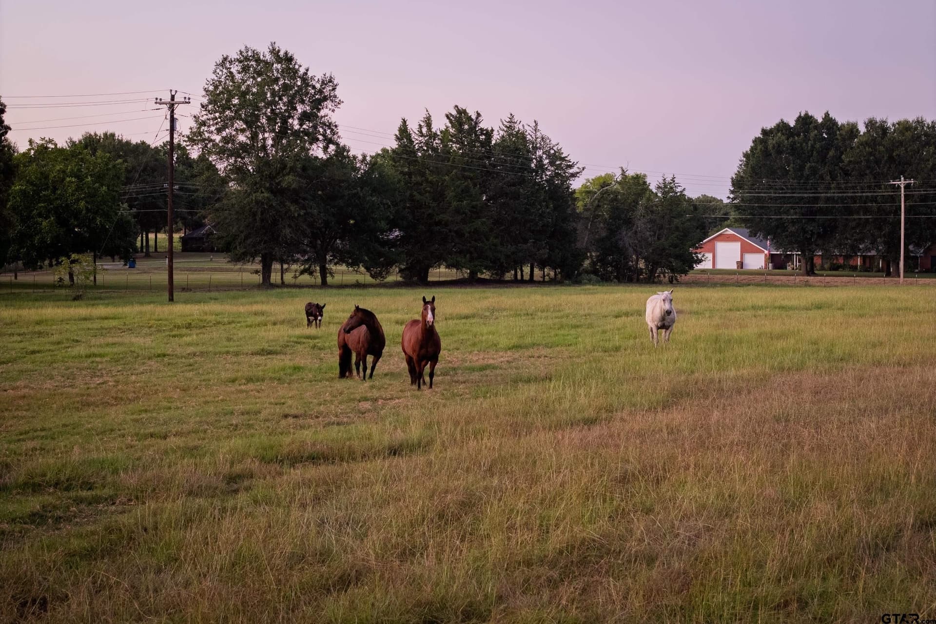 40.04 acres in Henderson County - photo 22