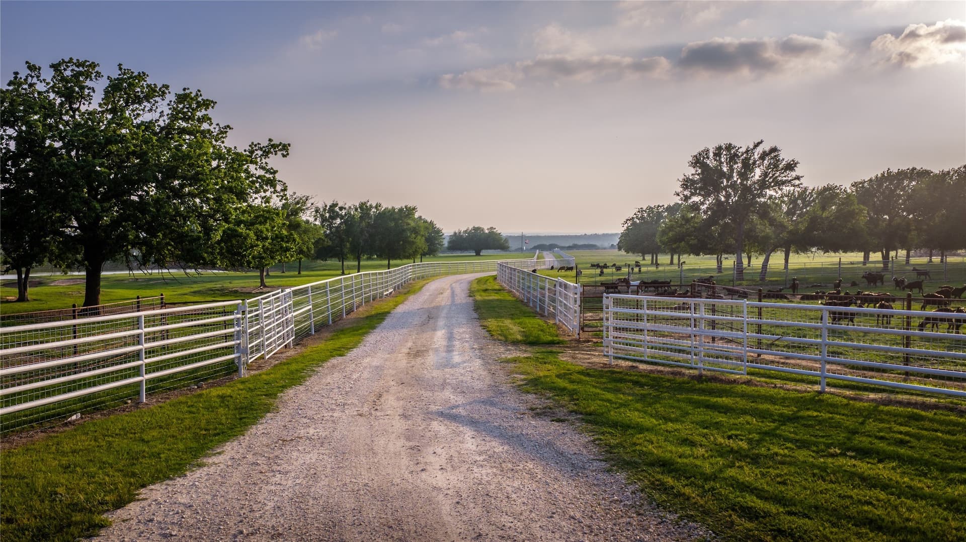 55 acres in Erath County - photo 27