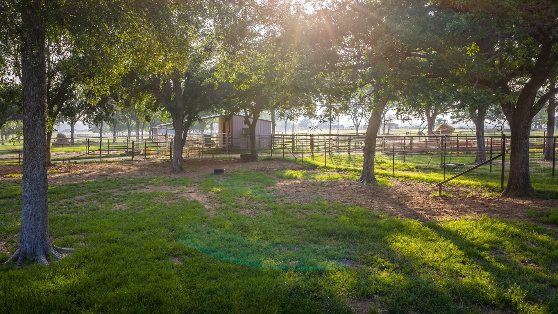 55 acres in Erath County - photo 39