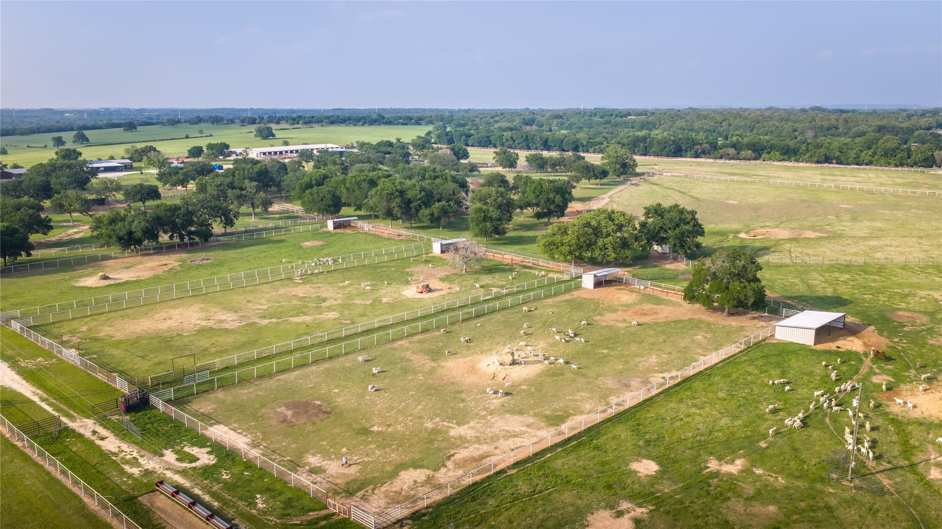 55 acres in Erath County - photo 33