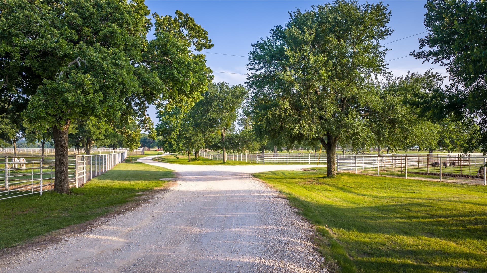 55 acres in Erath County - photo 26
