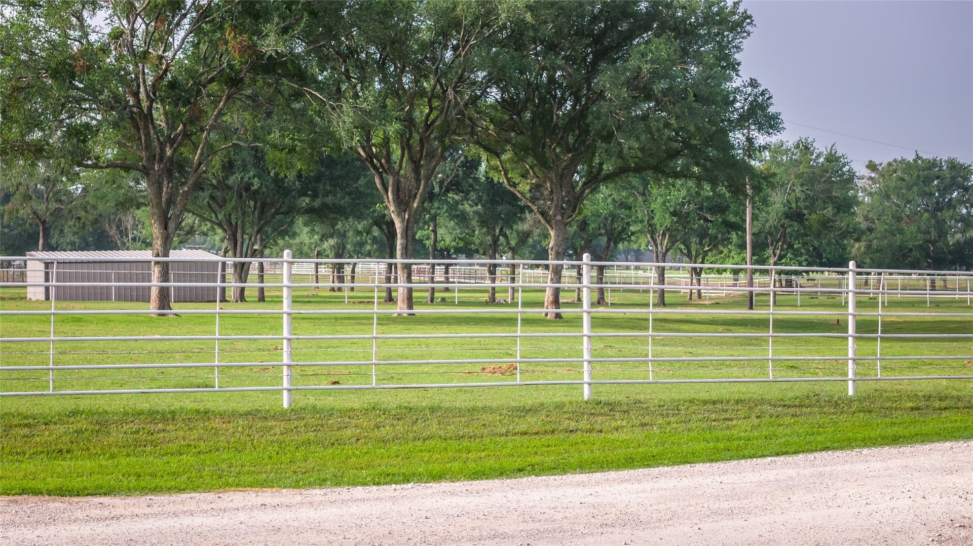 55 acres in Erath County - photo 28