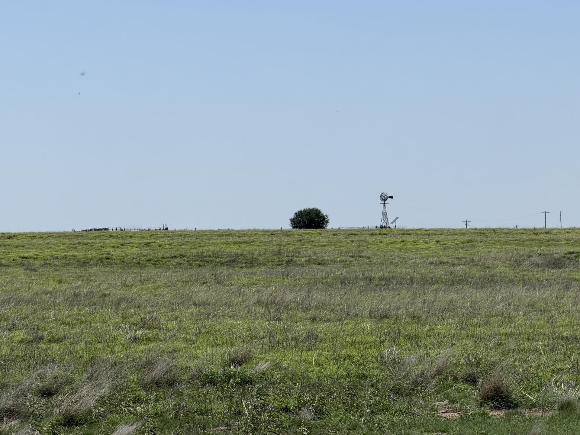 380 acres in Wheeler County - photo 30
