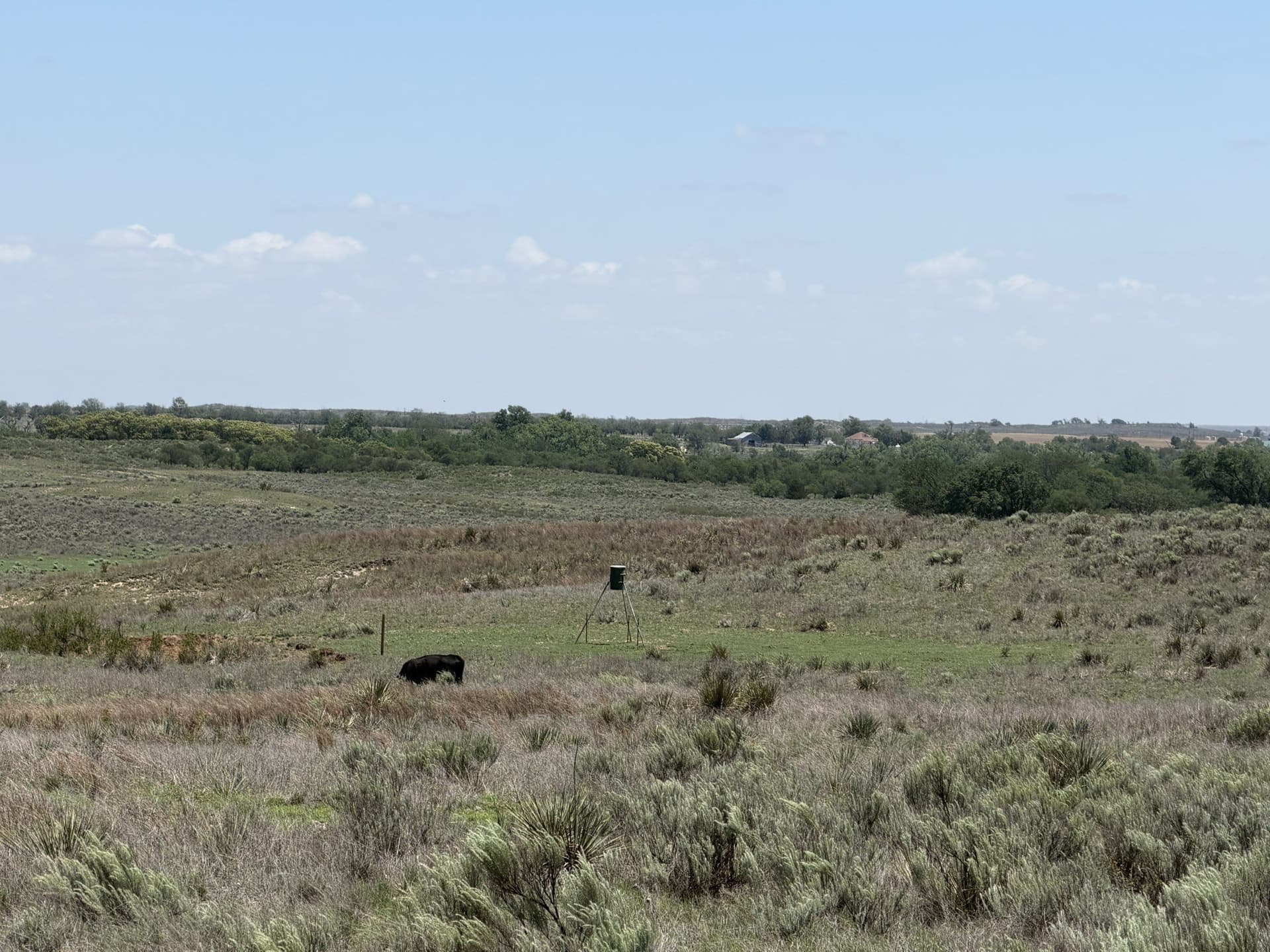 380 acres in Wheeler County - photo 12