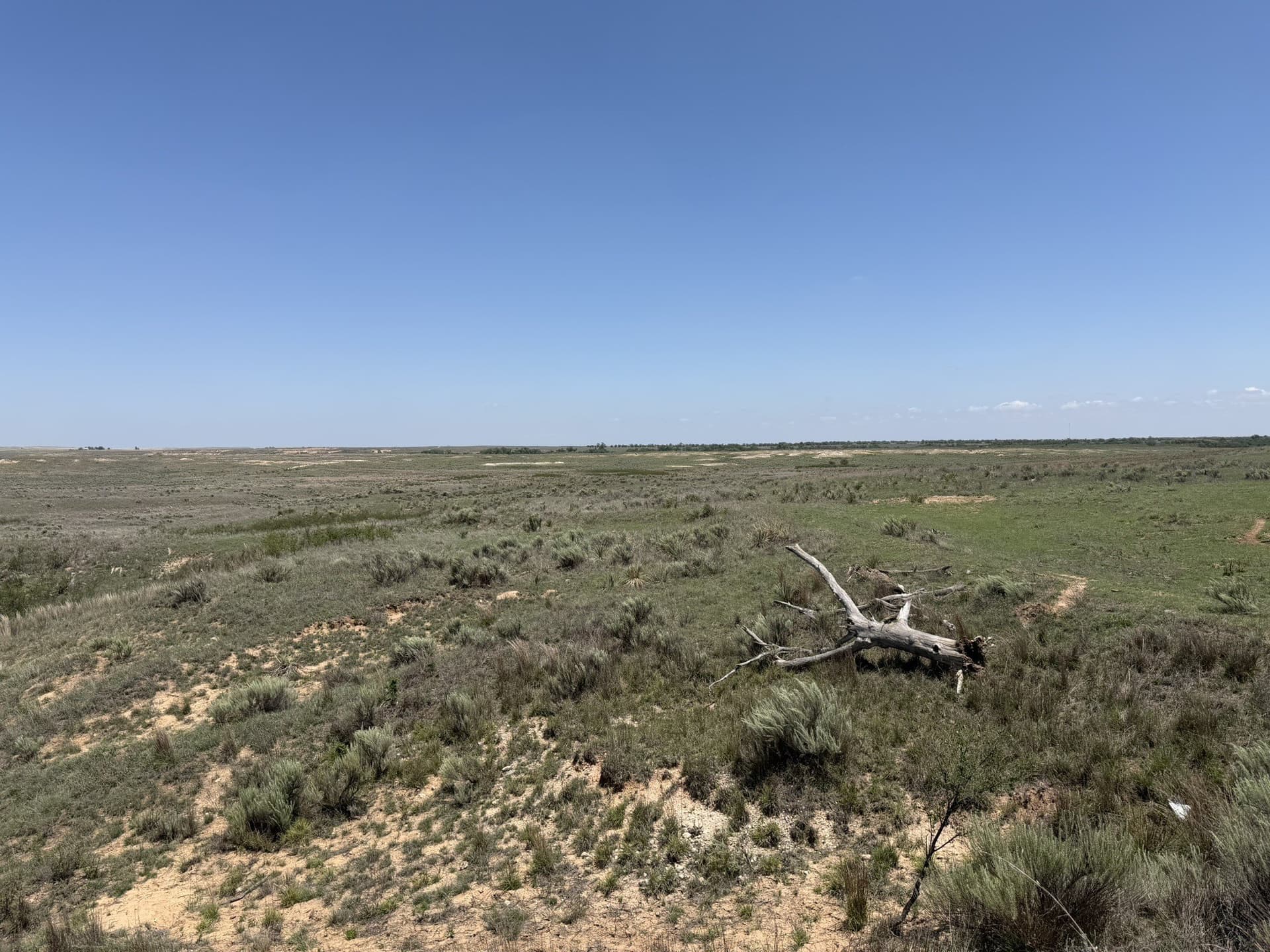 380 acres in Wheeler County - photo 22