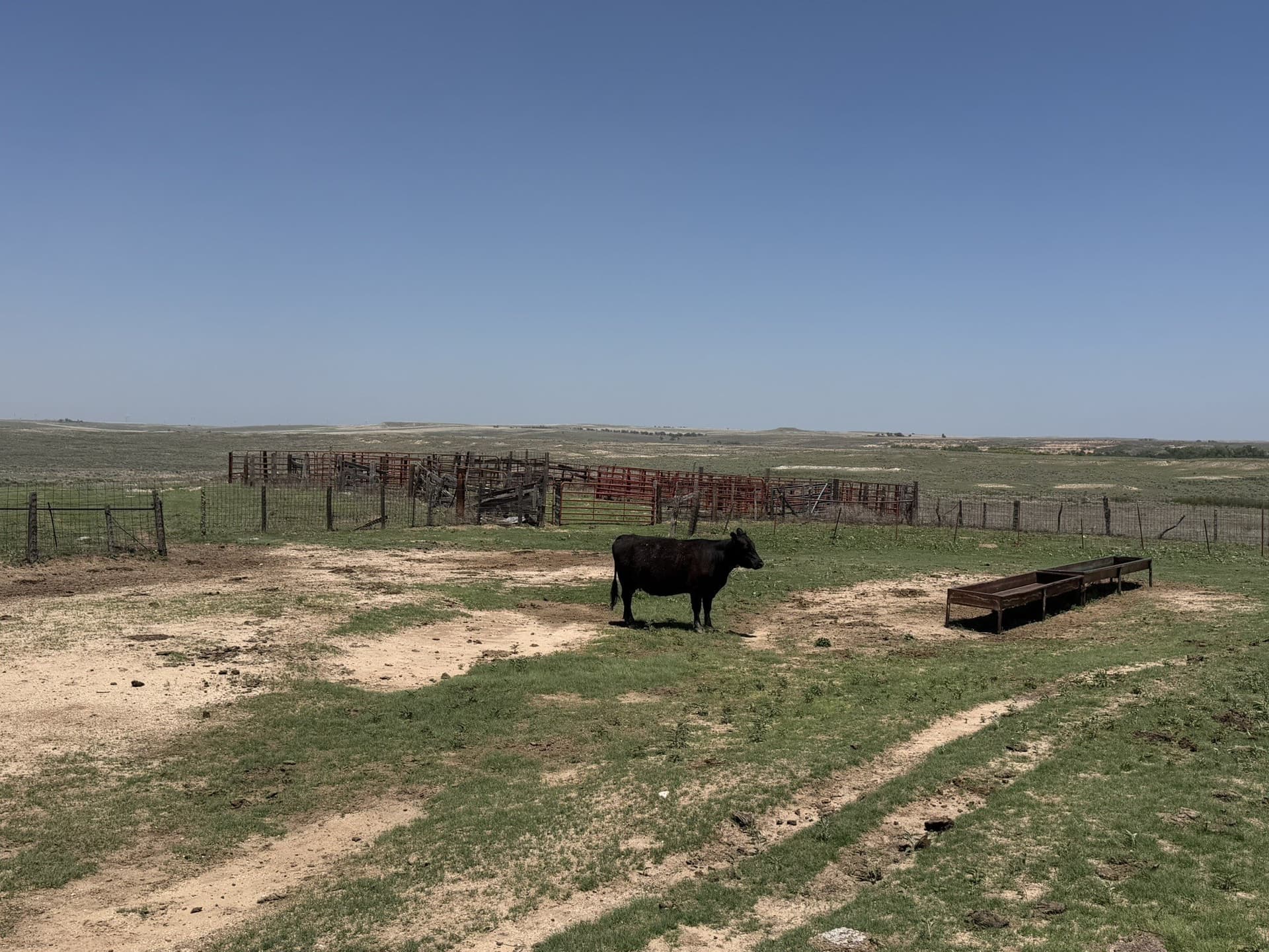 380 acres in Wheeler County - photo 8