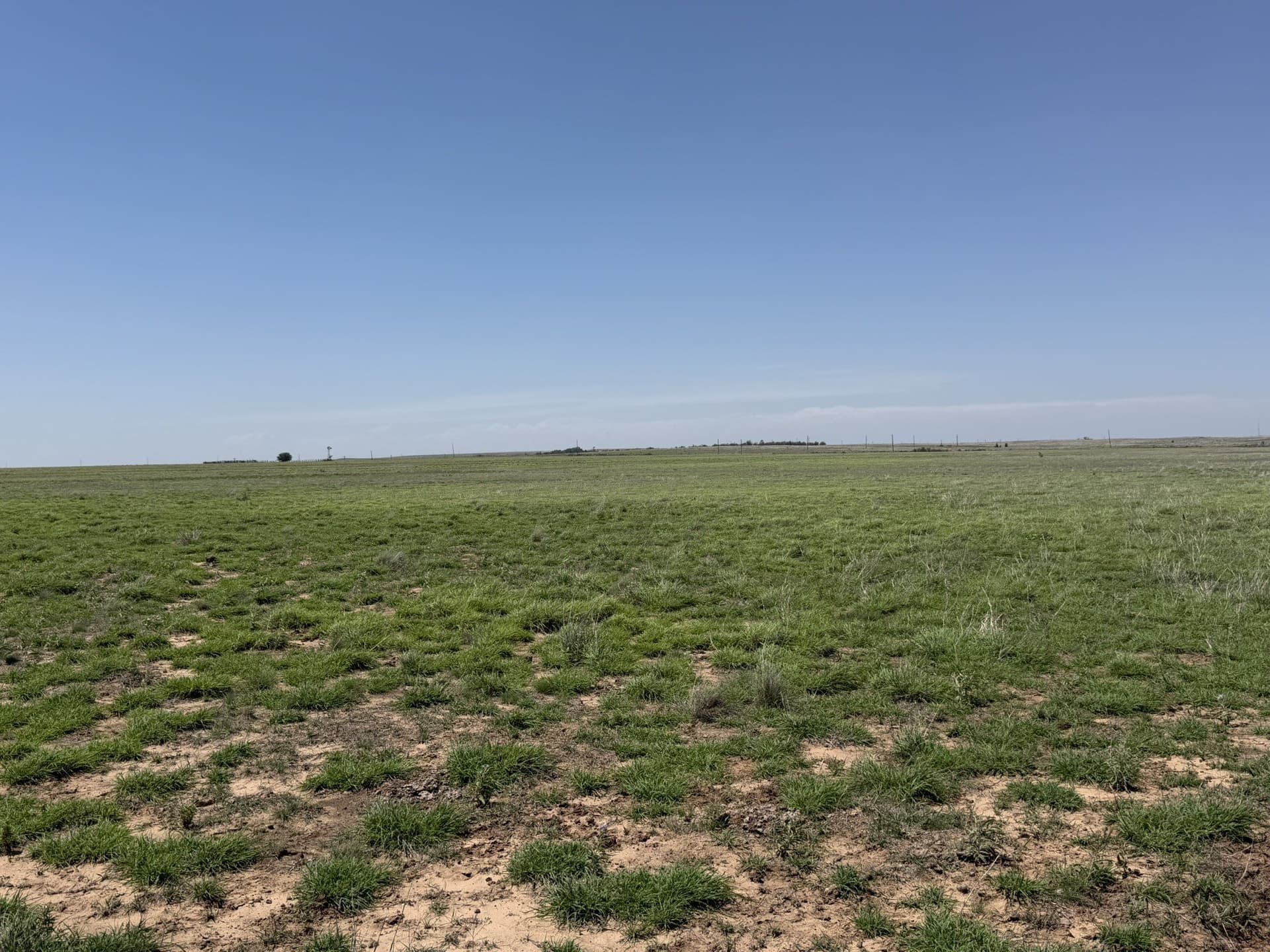 380 acres in Wheeler County - photo 29