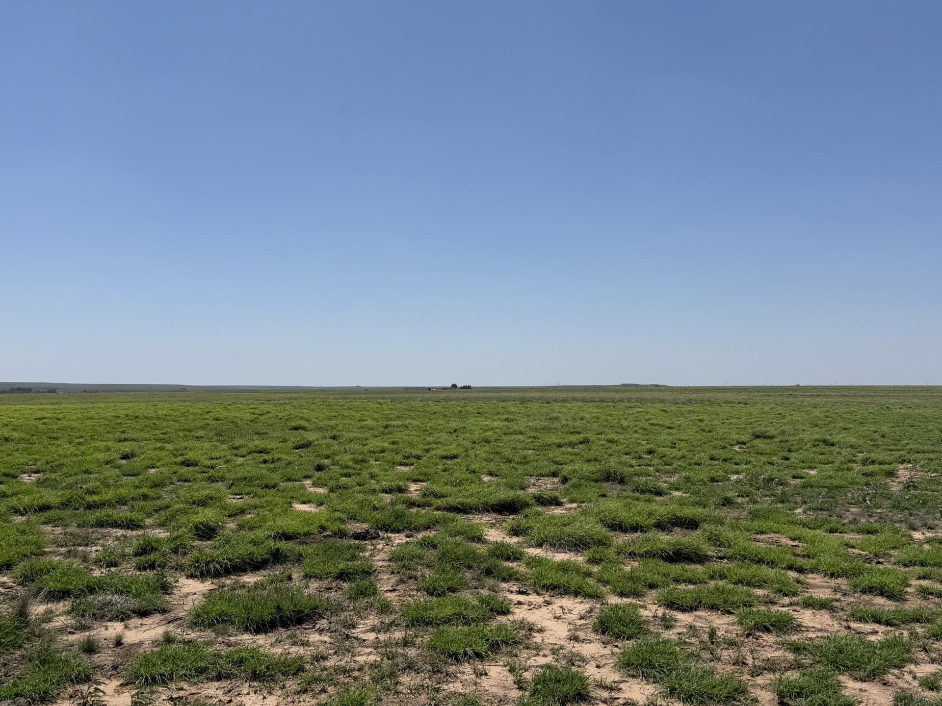 380 acres in Wheeler County - photo 28