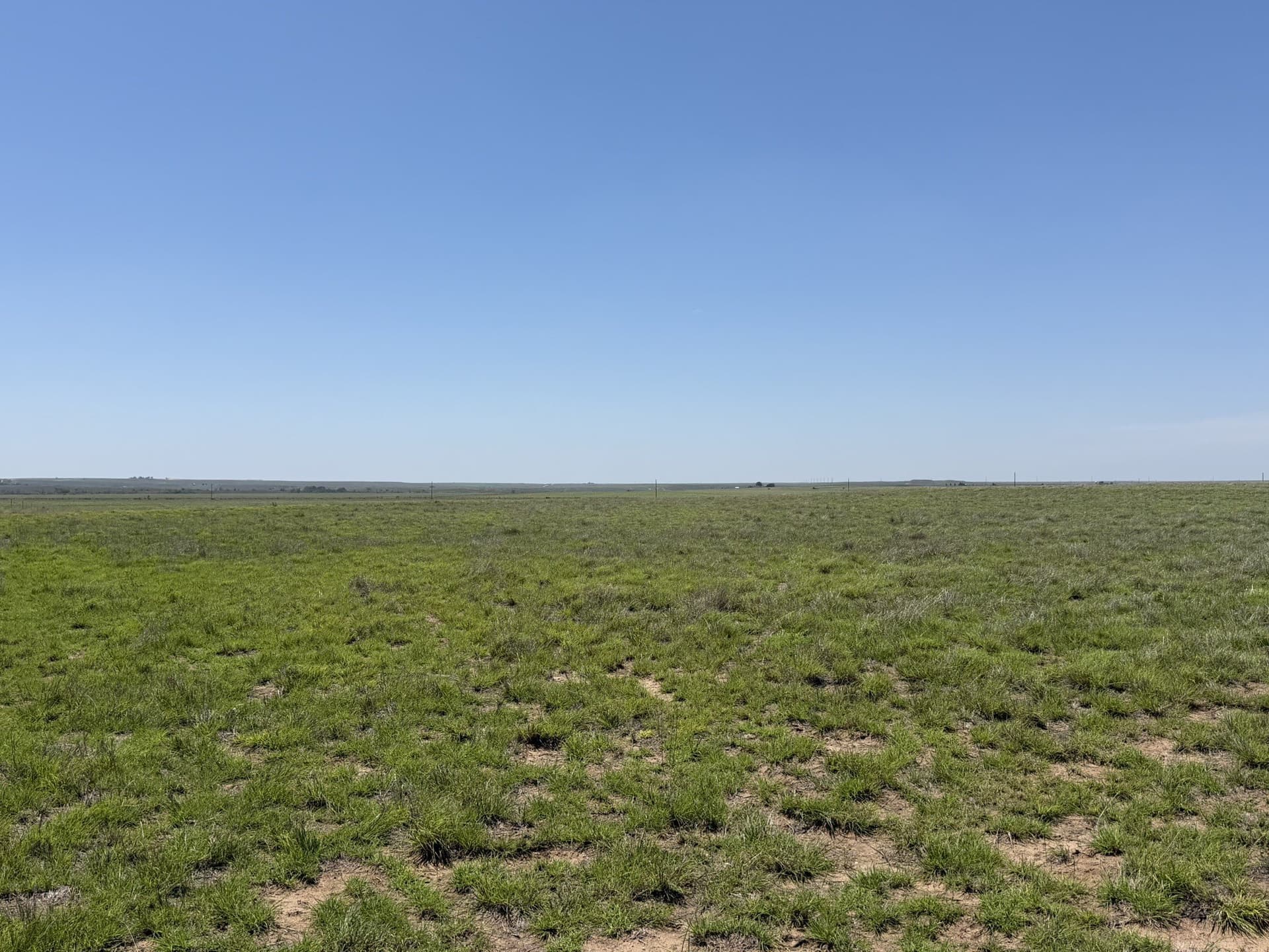 380 acres in Wheeler County - photo 13