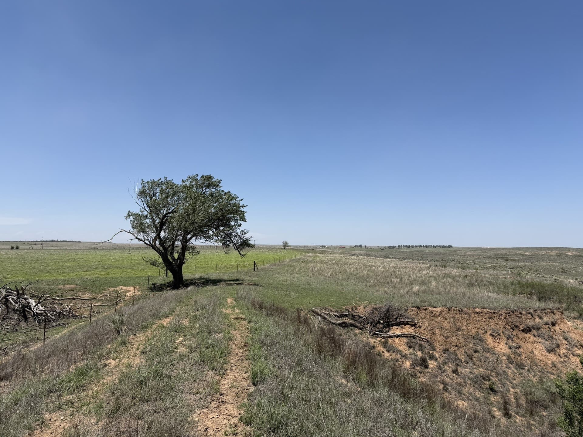 380 acres in Wheeler County - photo 20
