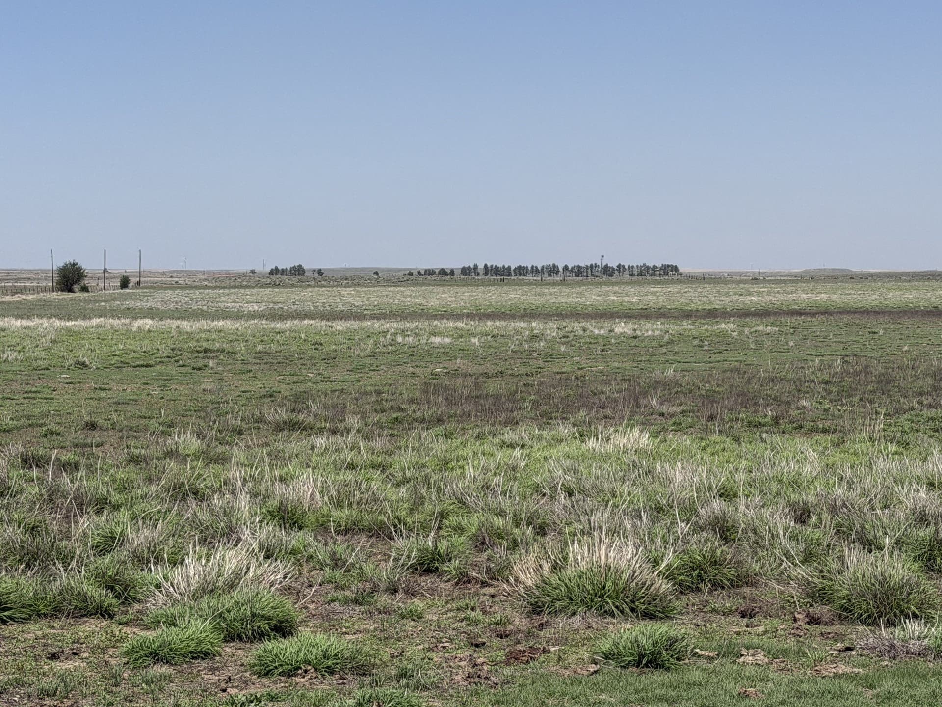 380 acres in Wheeler County - photo 4
