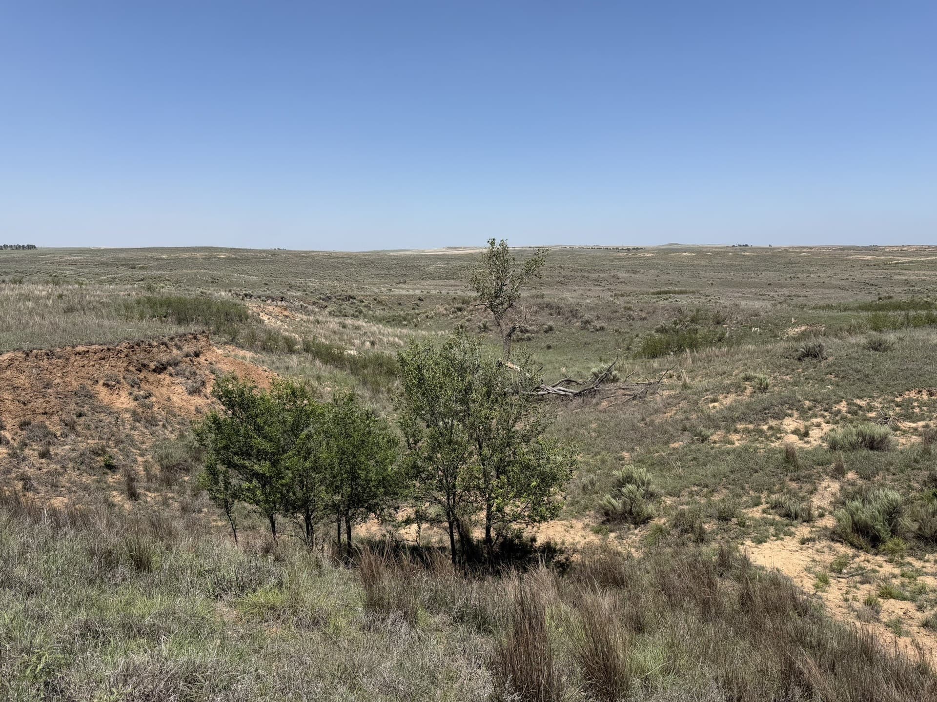 380 acres in Wheeler County - photo 21