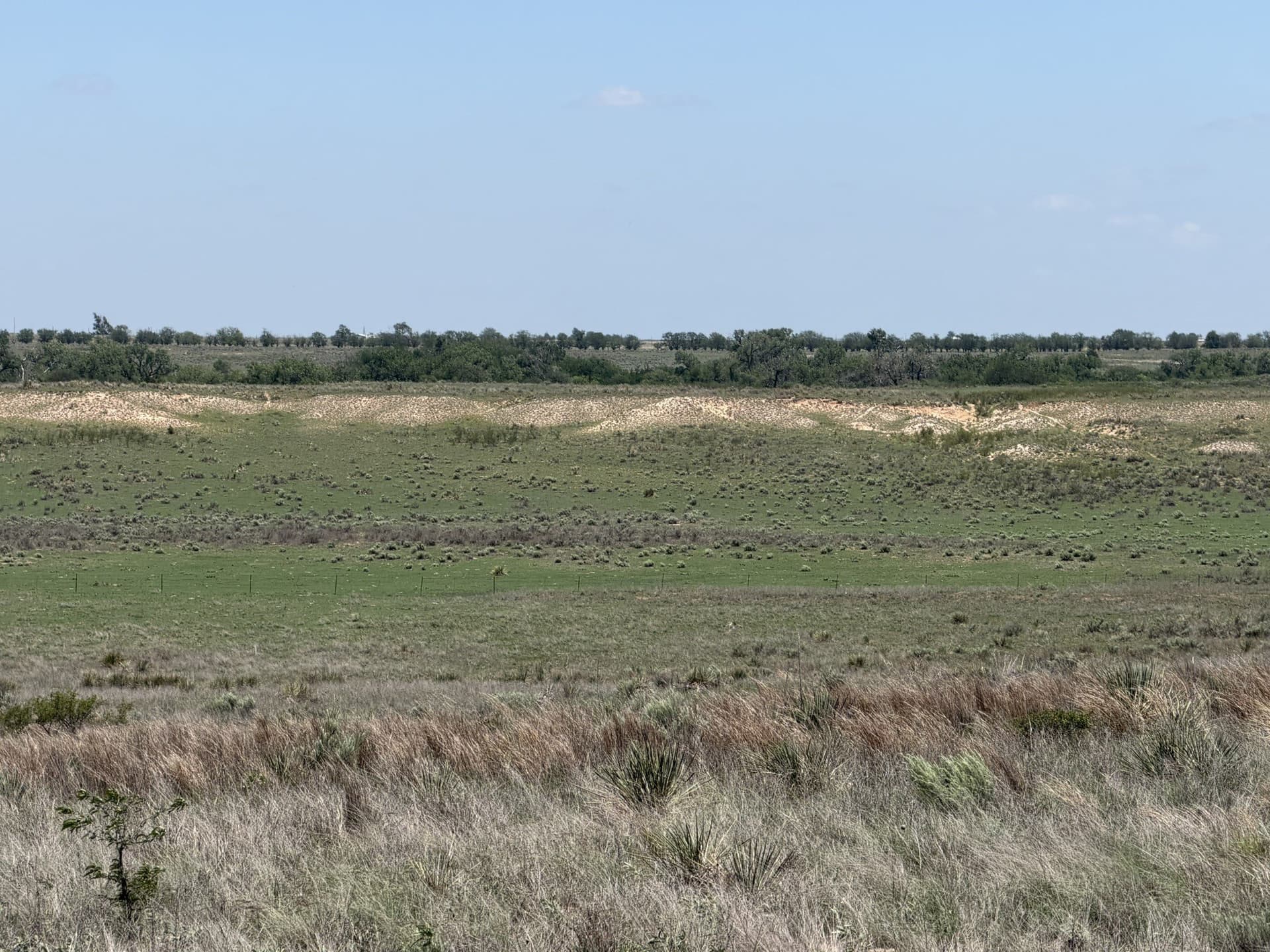 380 acres in Wheeler County - photo 11