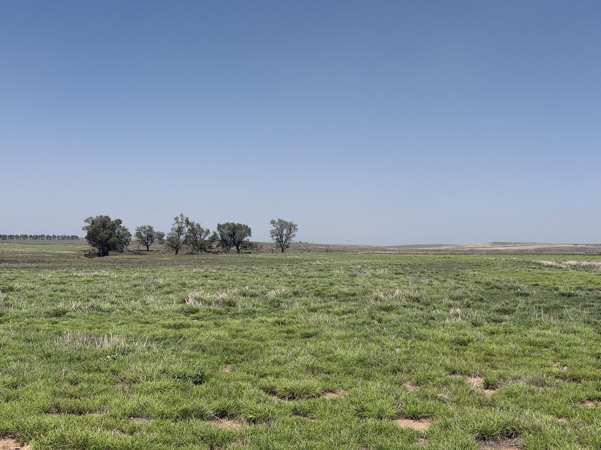 380 acres in Wheeler County - photo 5
