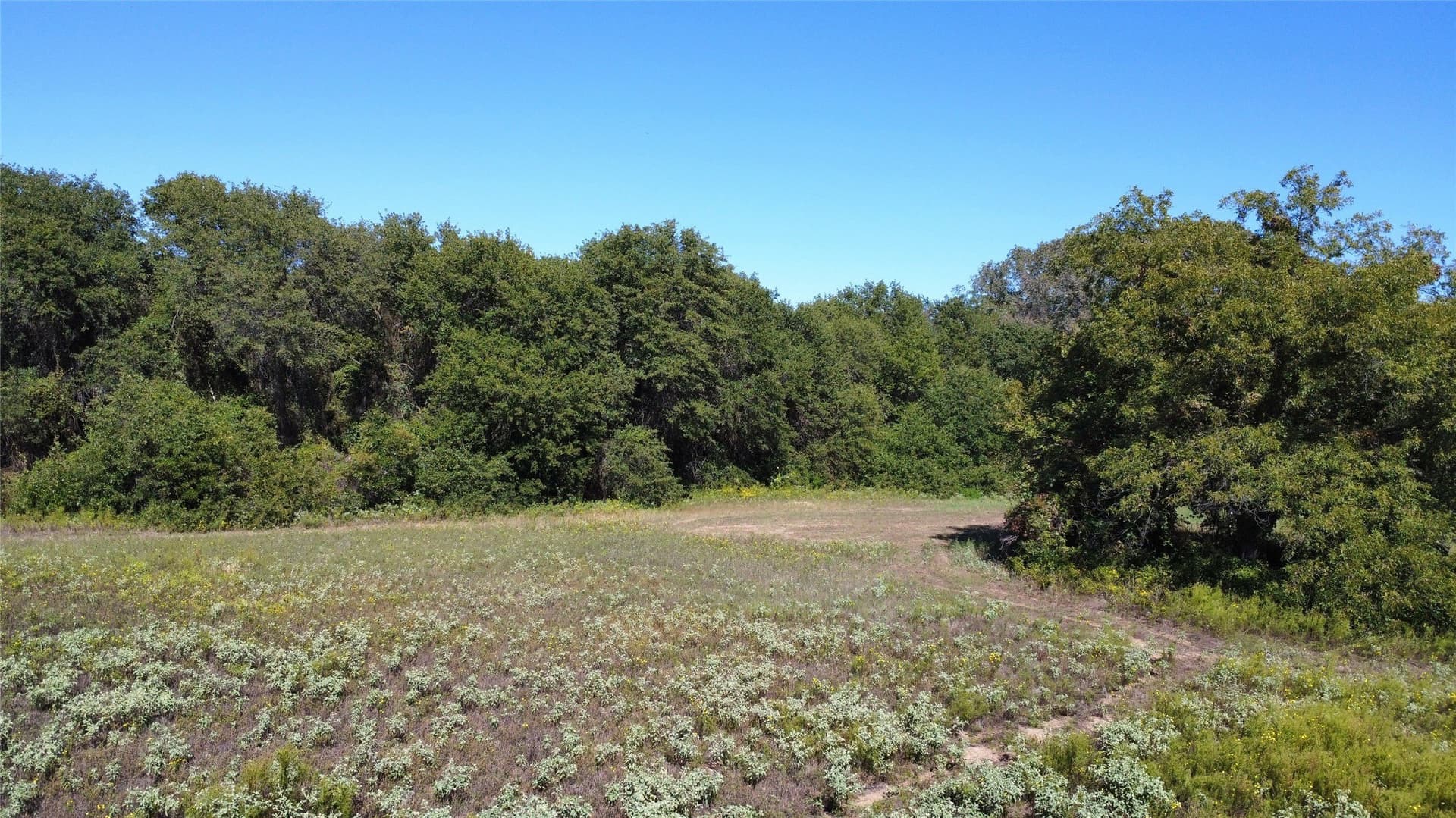8.35 acres in Eastland County - photo 8