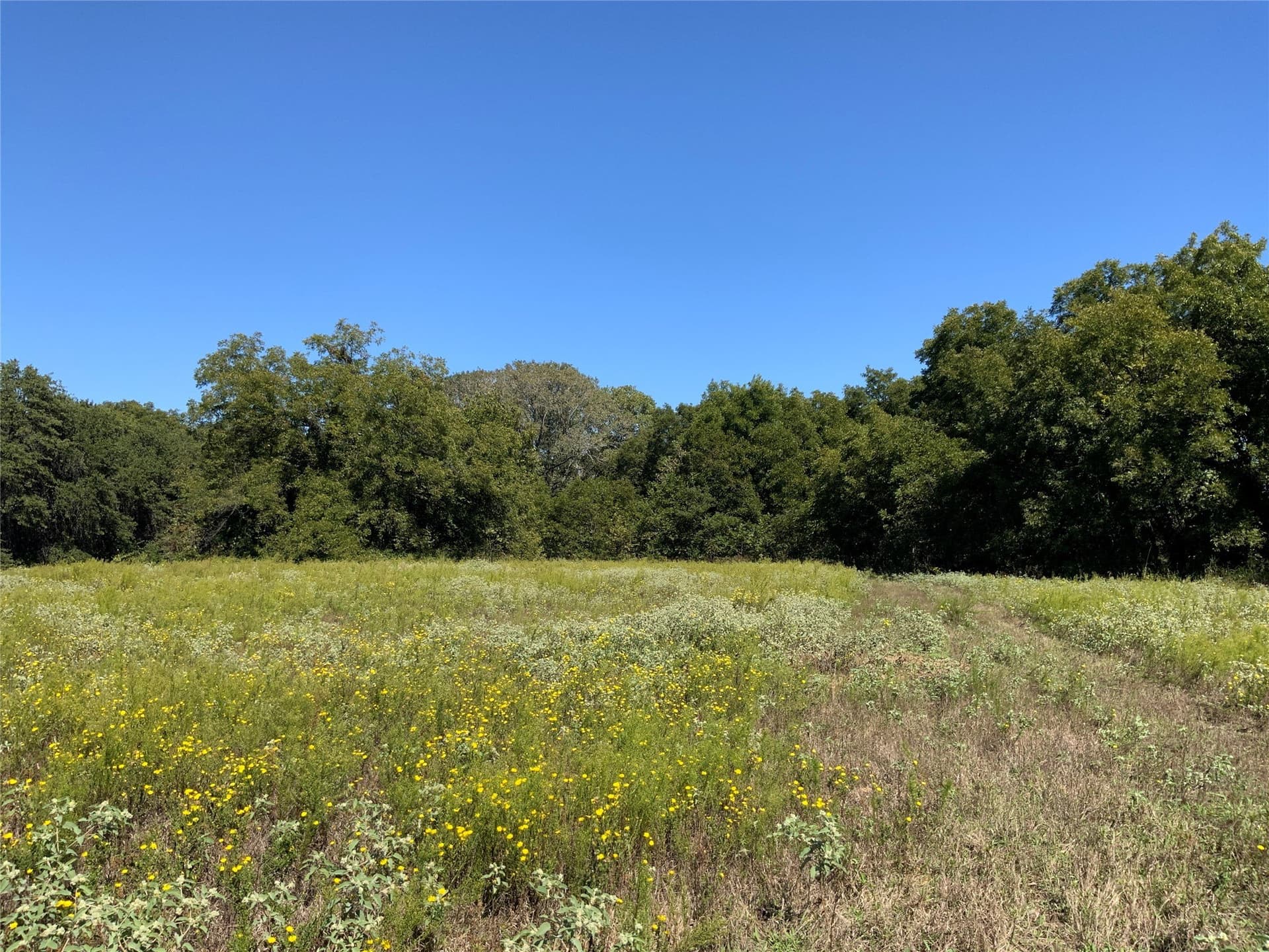 8.35 acres in Eastland County - photo 24
