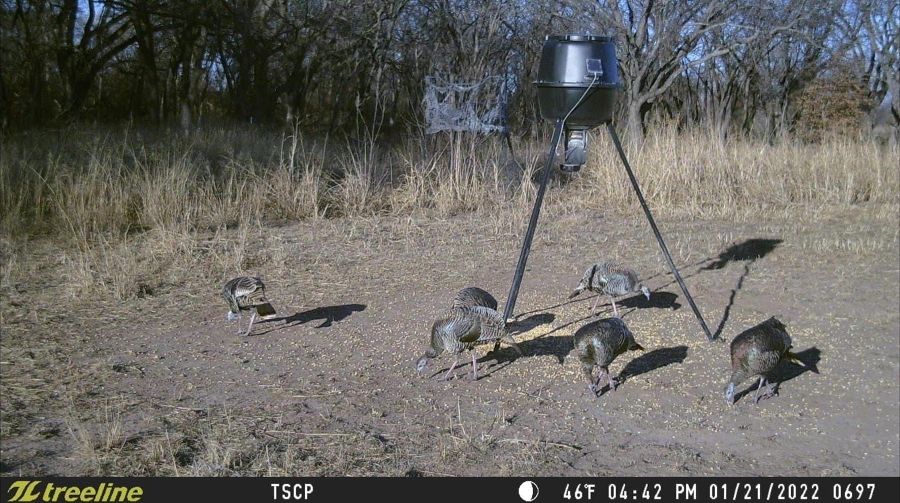 8.35 acres in Eastland County - photo 12