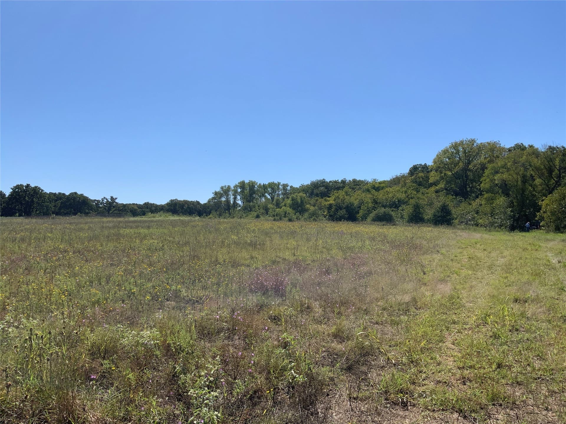 8.35 acres in Eastland County - photo 16