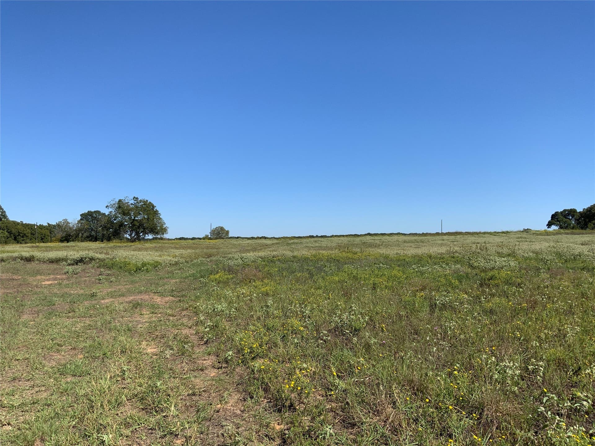 8.35 acres in Eastland County - photo 15