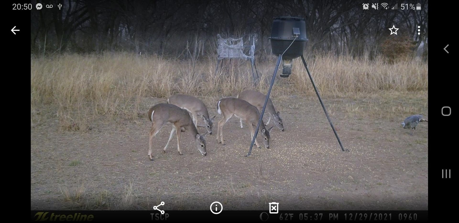 8.35 acres in Eastland County - photo 11
