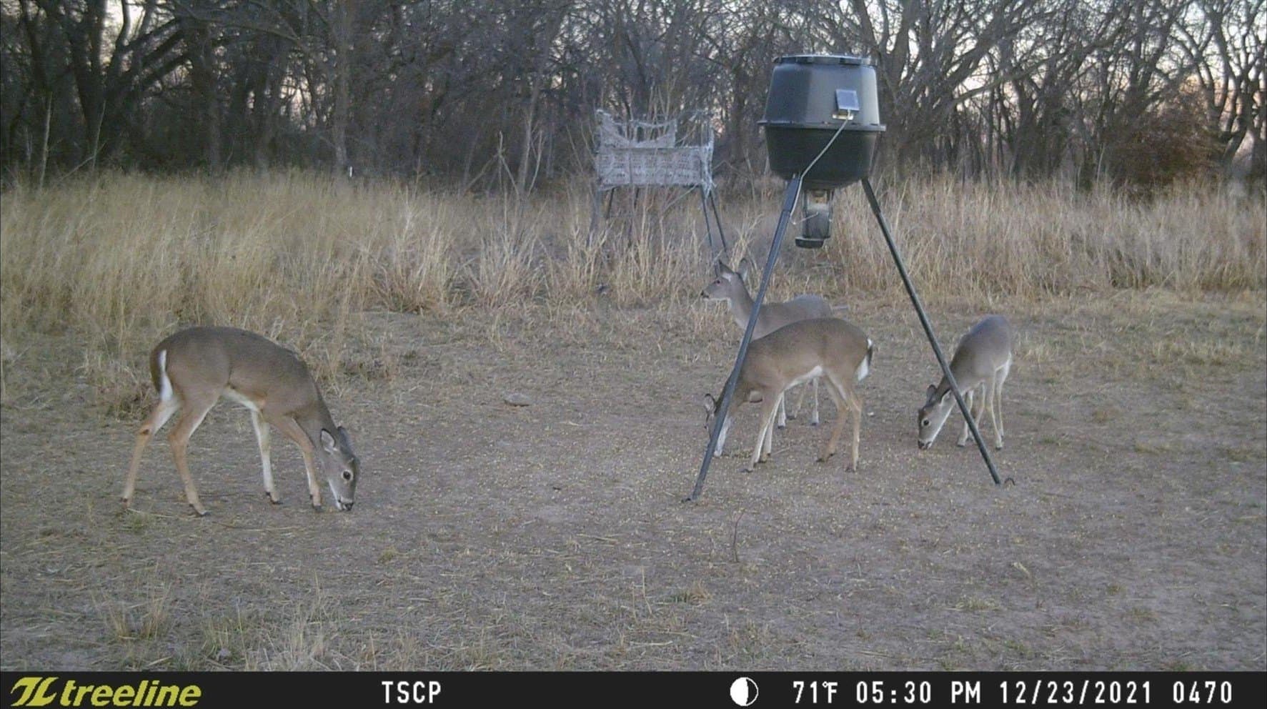 8.35 acres in Eastland County - photo 14