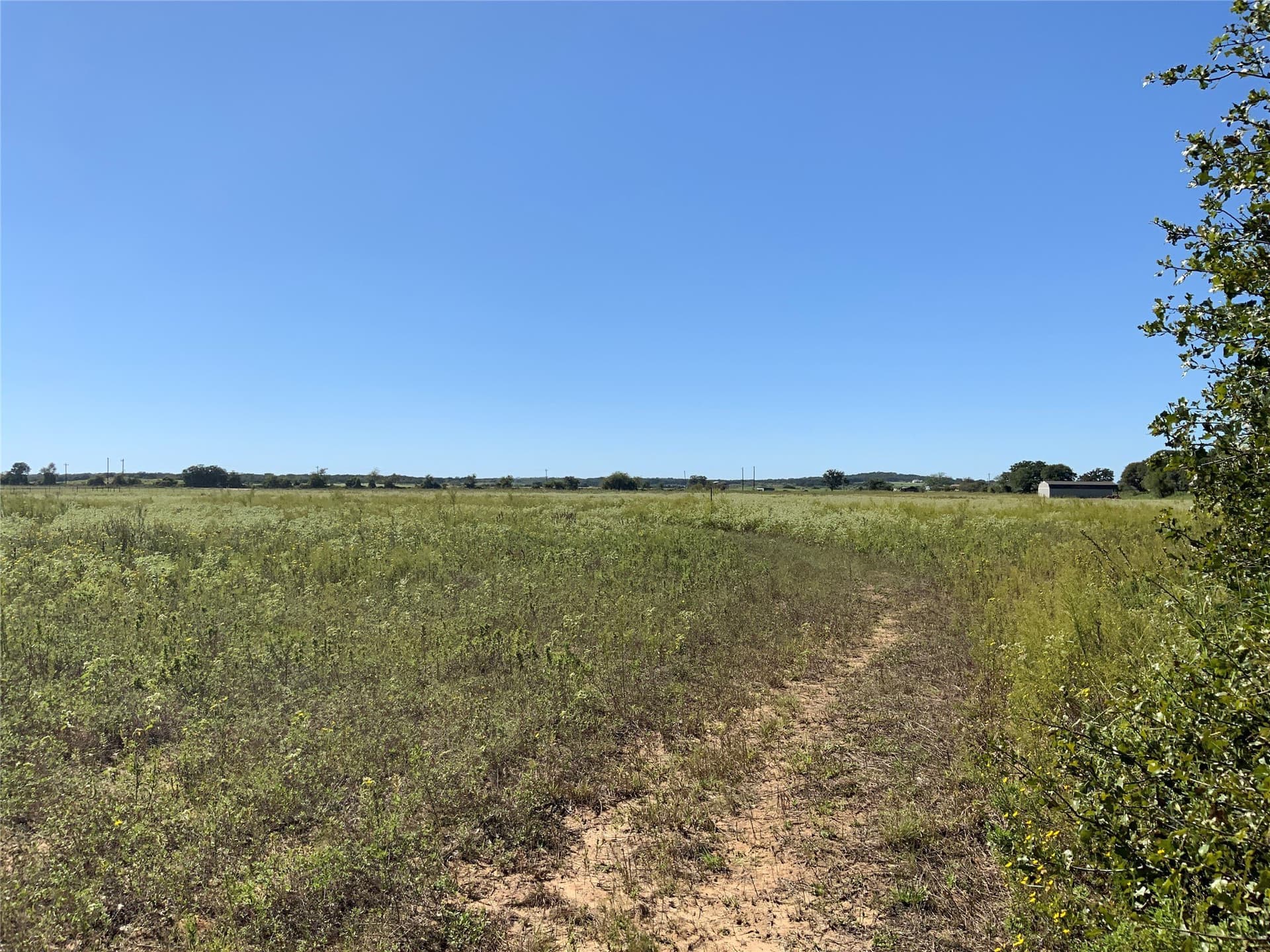 8.35 acres in Eastland County - photo 23