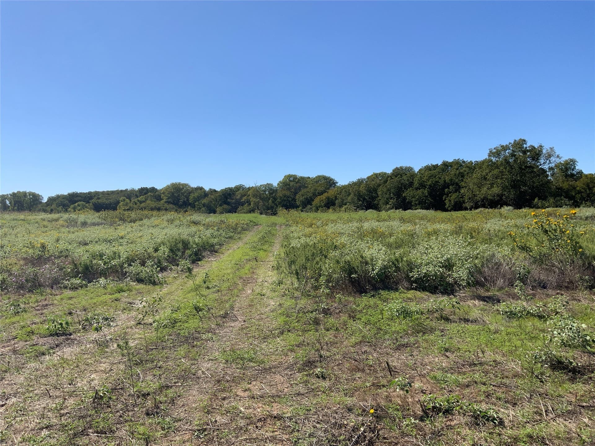 8.35 acres in Eastland County - photo 25