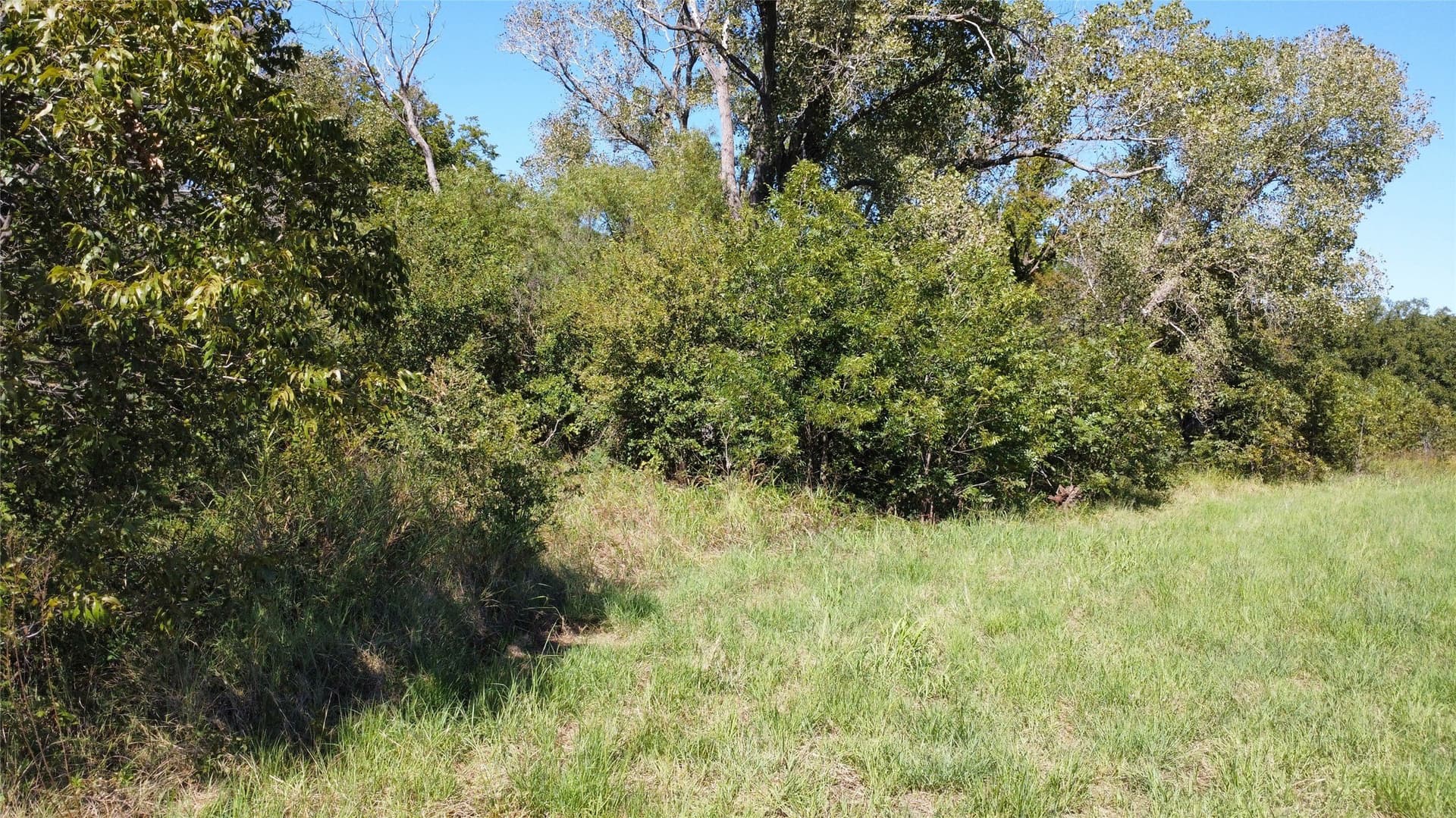 8.35 acres in Eastland County - photo 3
