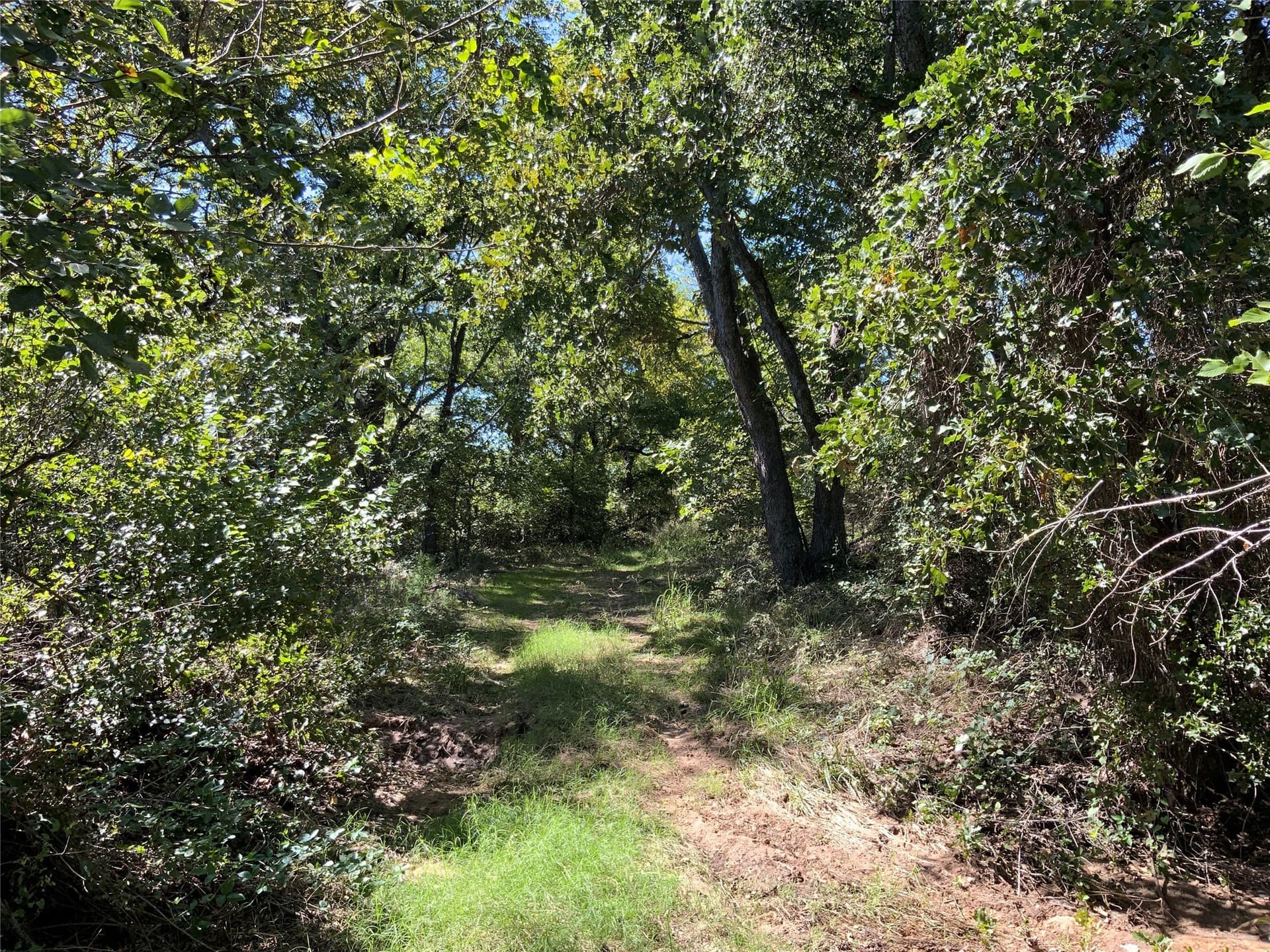 8.35 acres in Eastland County - photo 18