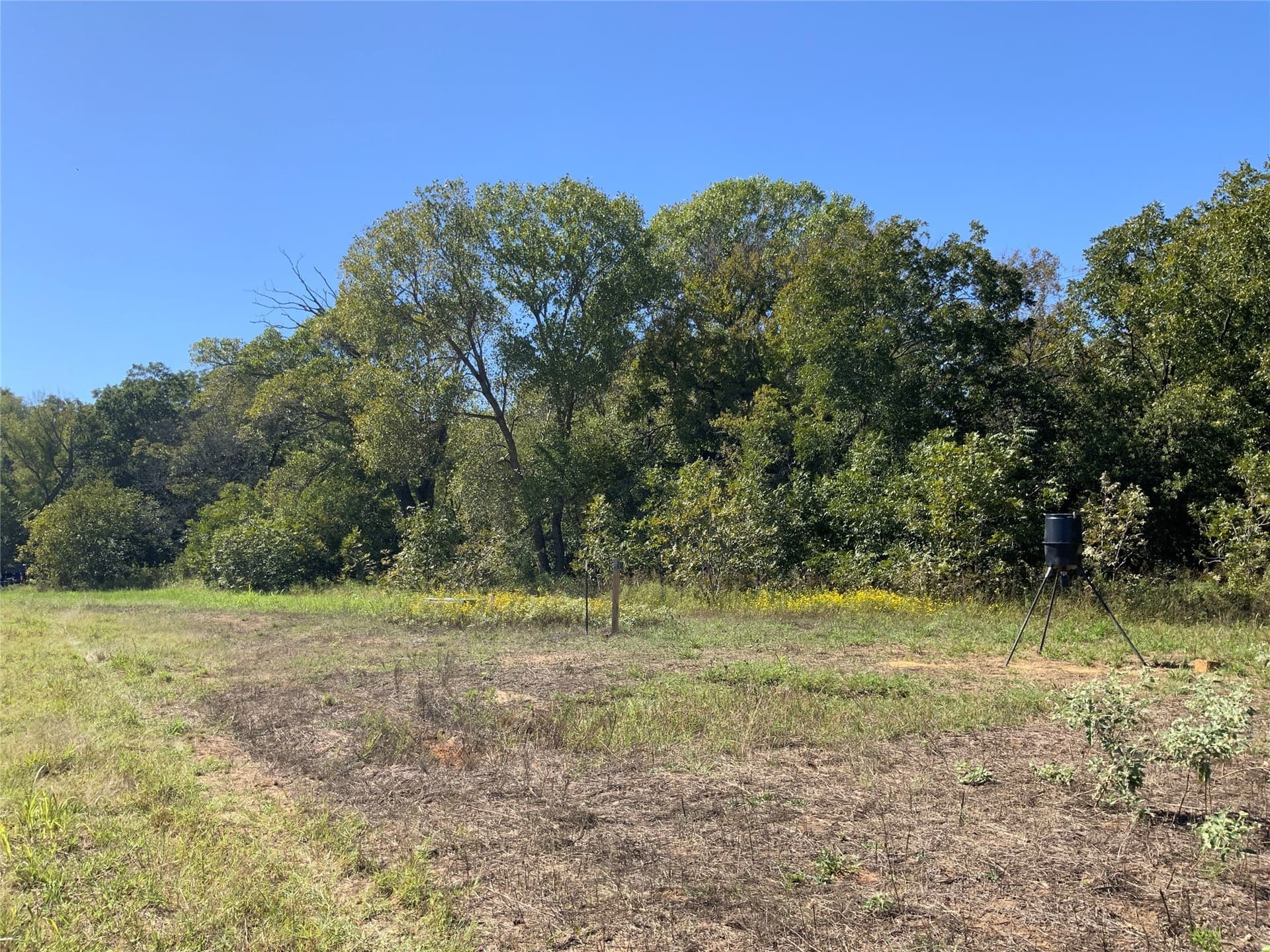 8.35 acres in Eastland County - photo 17