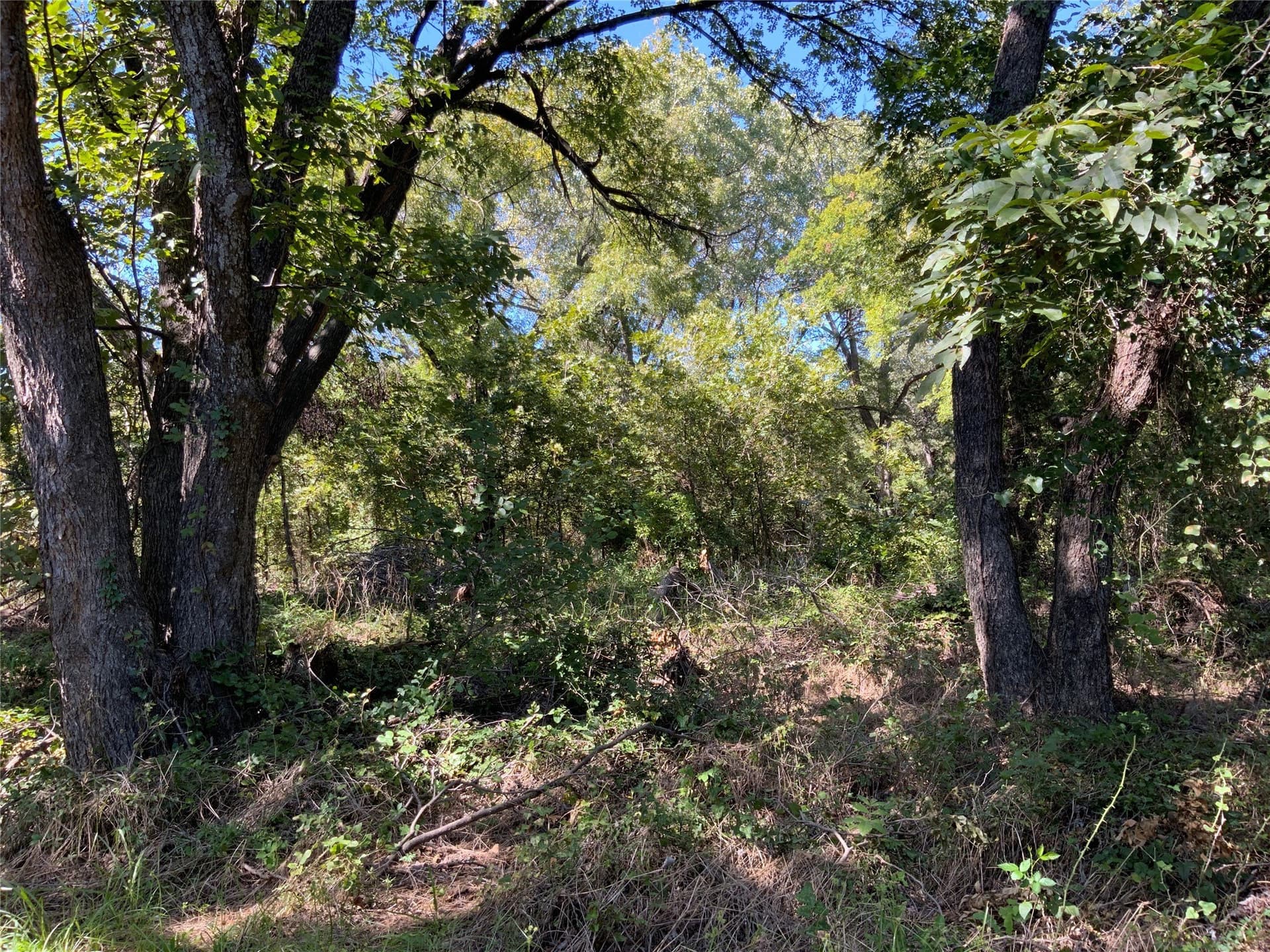 8.35 acres in Eastland County - photo 20