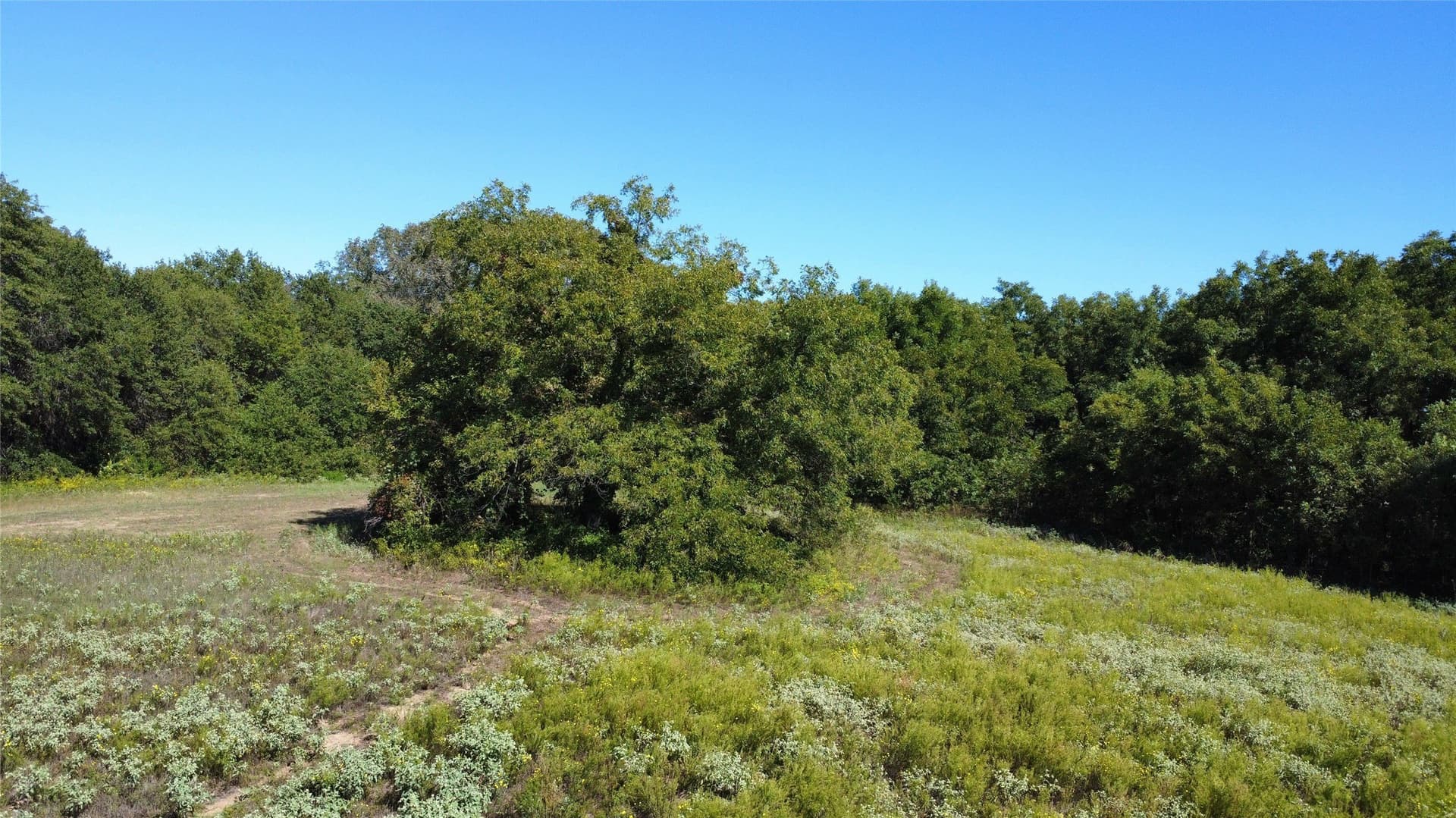 8.35 acres in Eastland County - photo 7