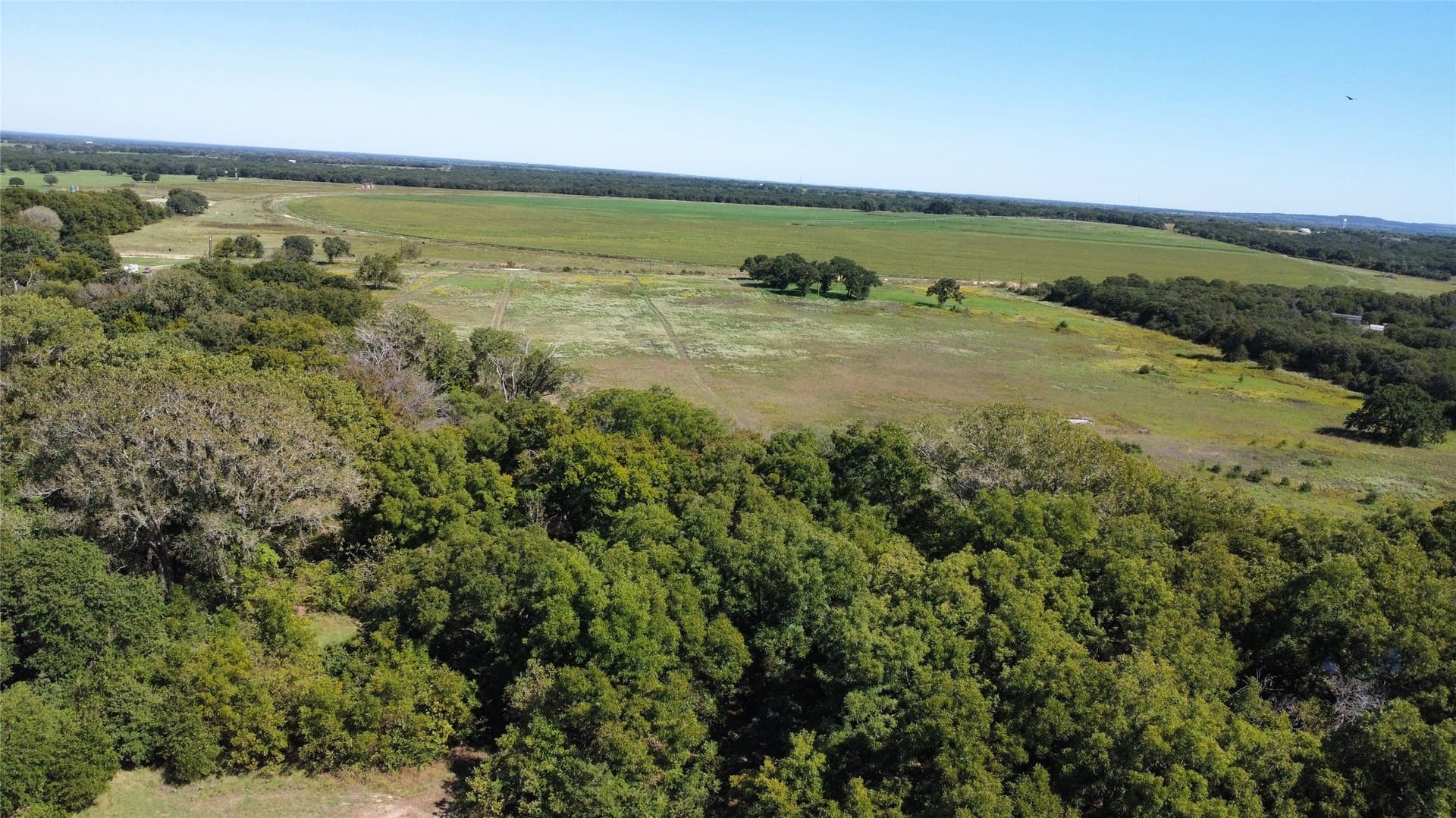 8.35 acres in Eastland County - photo 9