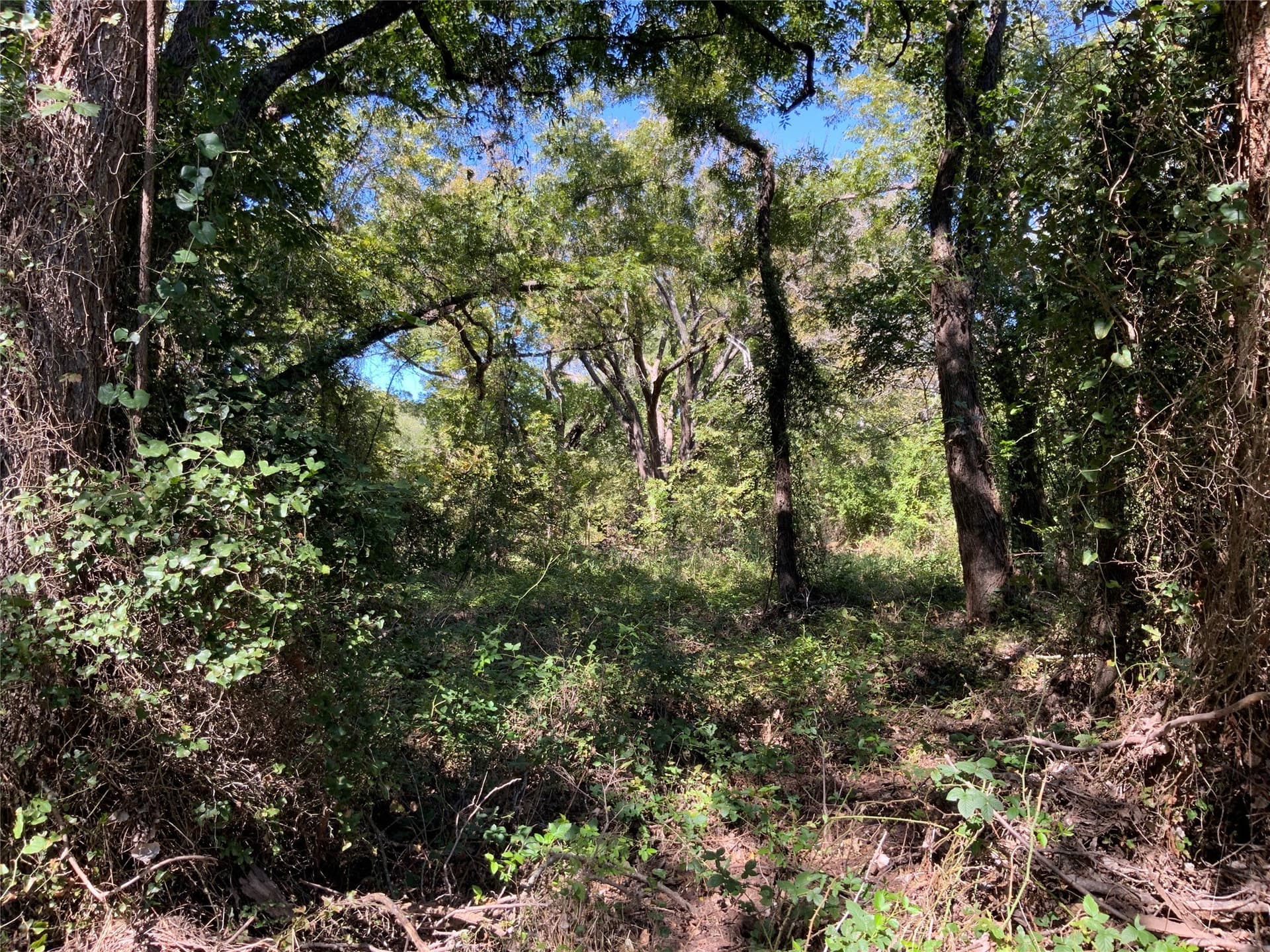 8.35 acres in Eastland County - photo 19