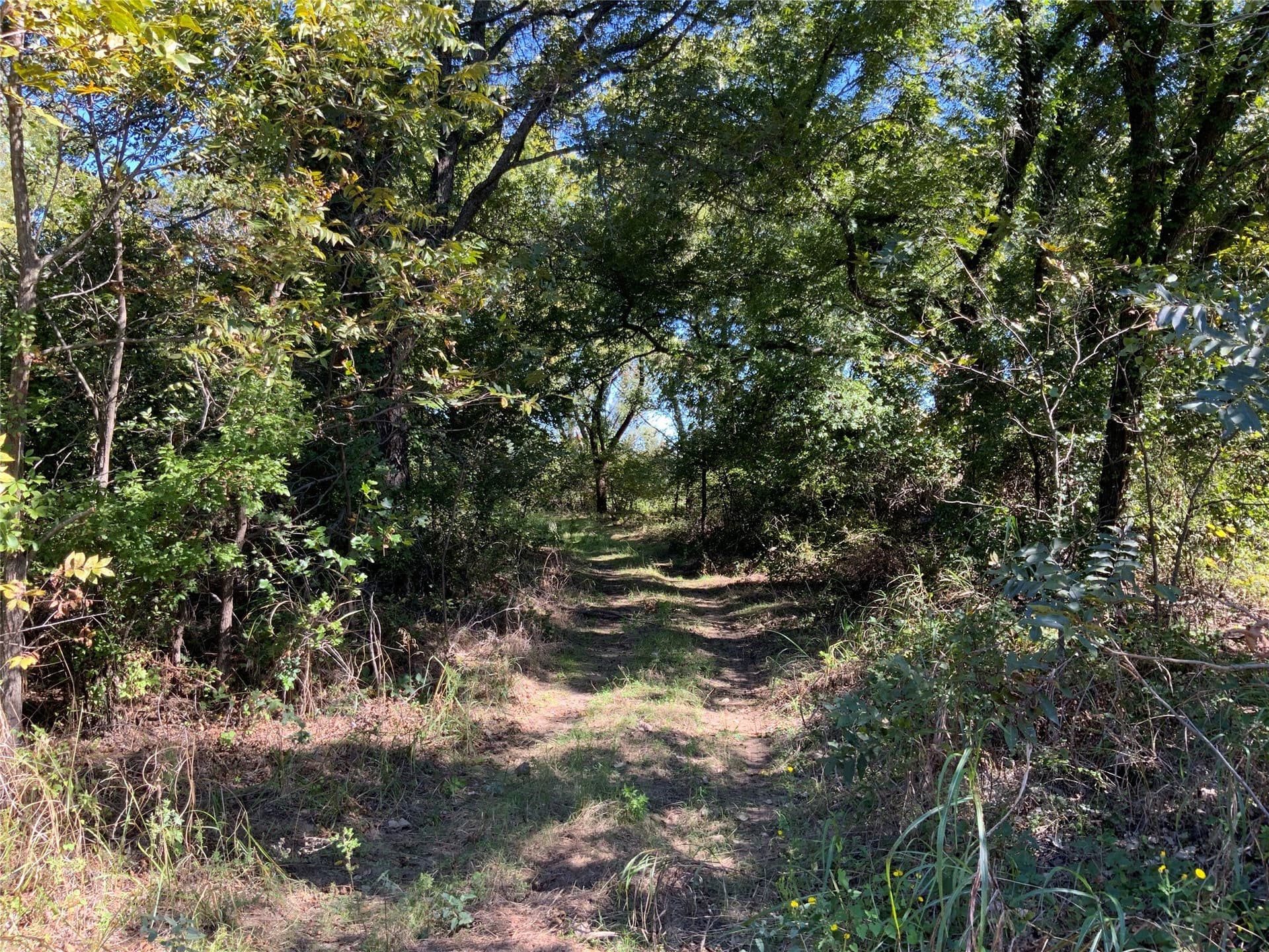 8.35 acres in Eastland County - photo 22