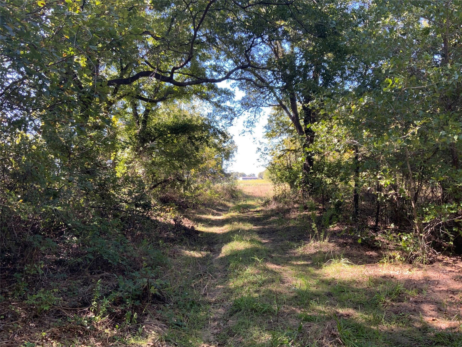 8.35 acres in Eastland County - photo 21
