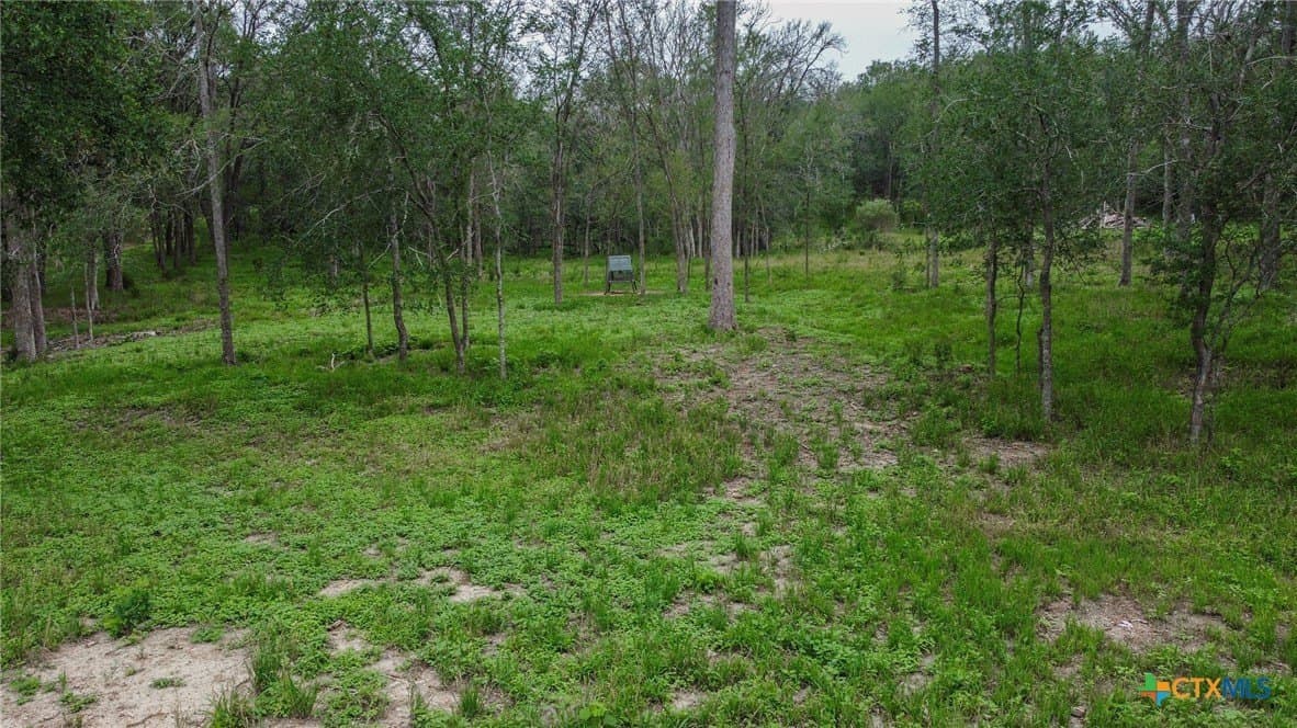 0.44 acres in Guadalupe County - photo 9