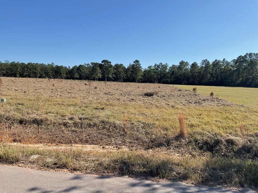4.64 acres in Texas County gallery image 4