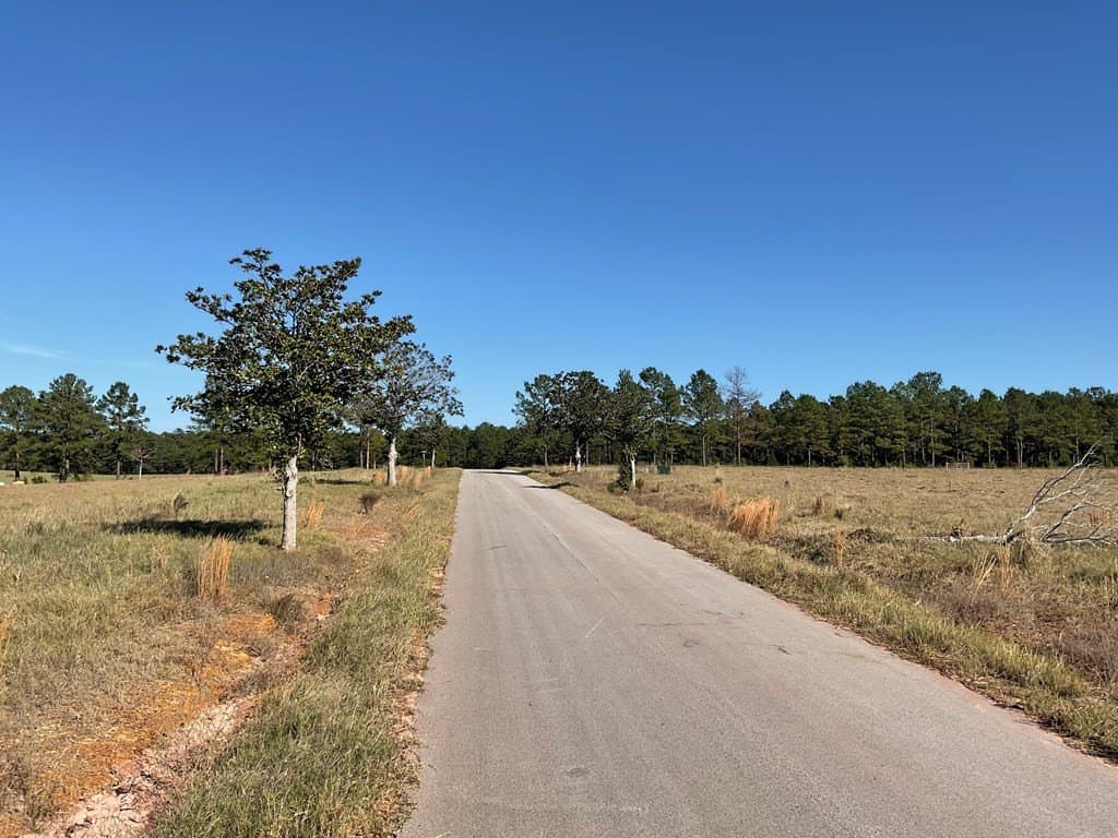 4.64 acres in Texas County gallery image 3