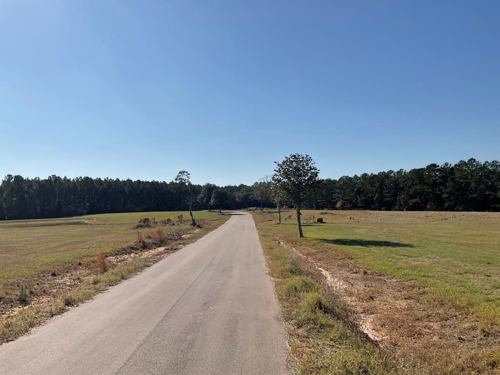 4.64 acres in Texas County gallery image 2