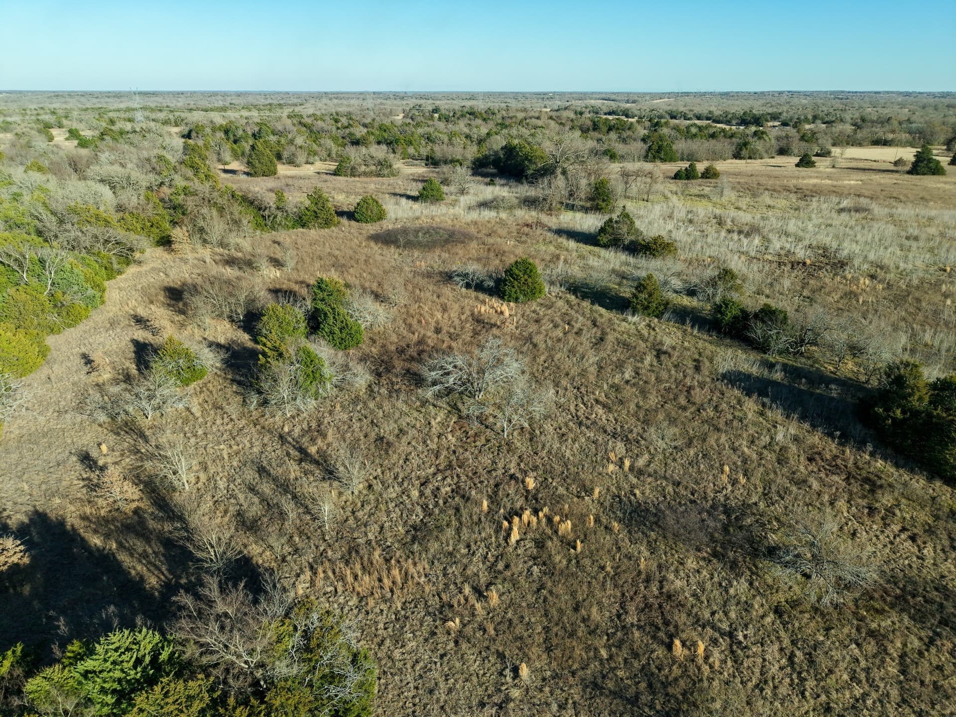 14 acres in Freestone County - photo 14