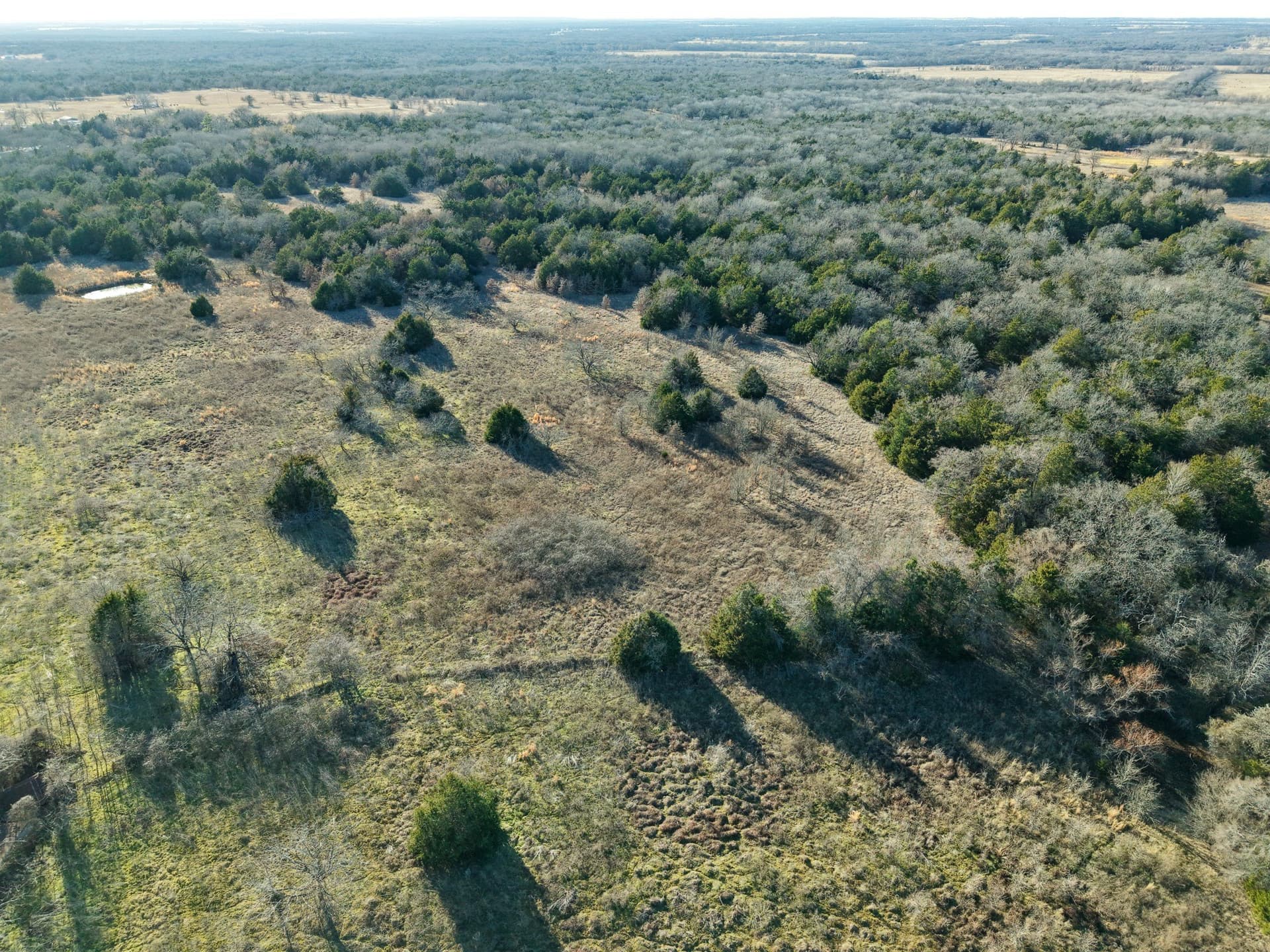 14 acres in Freestone County - photo 12
