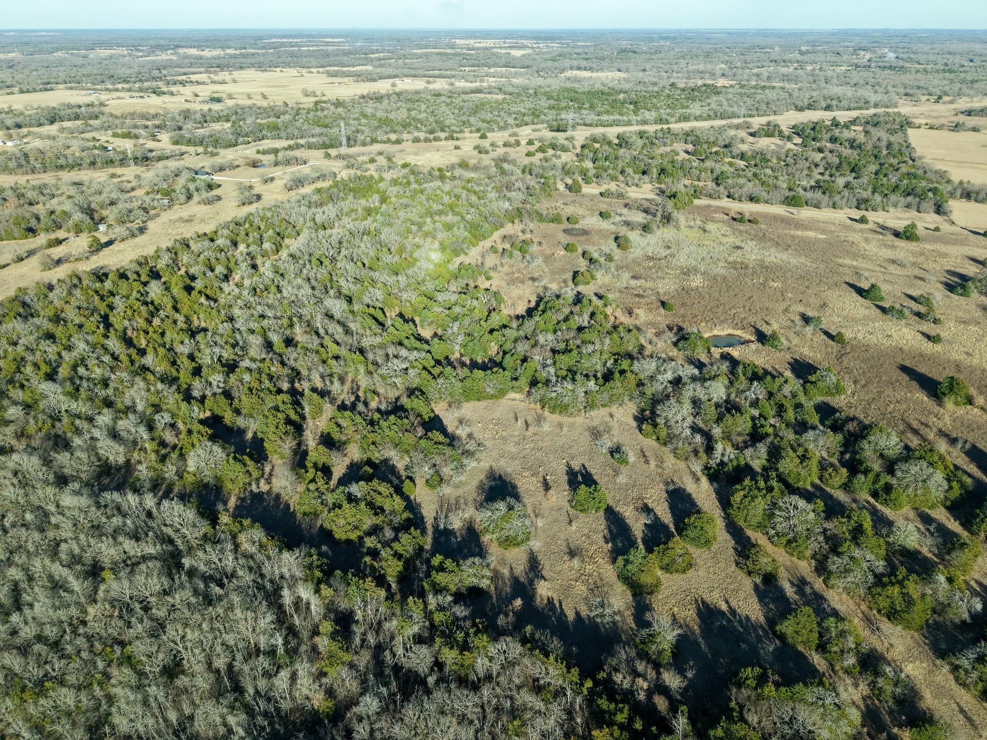 14 acres in Freestone County - photo 7