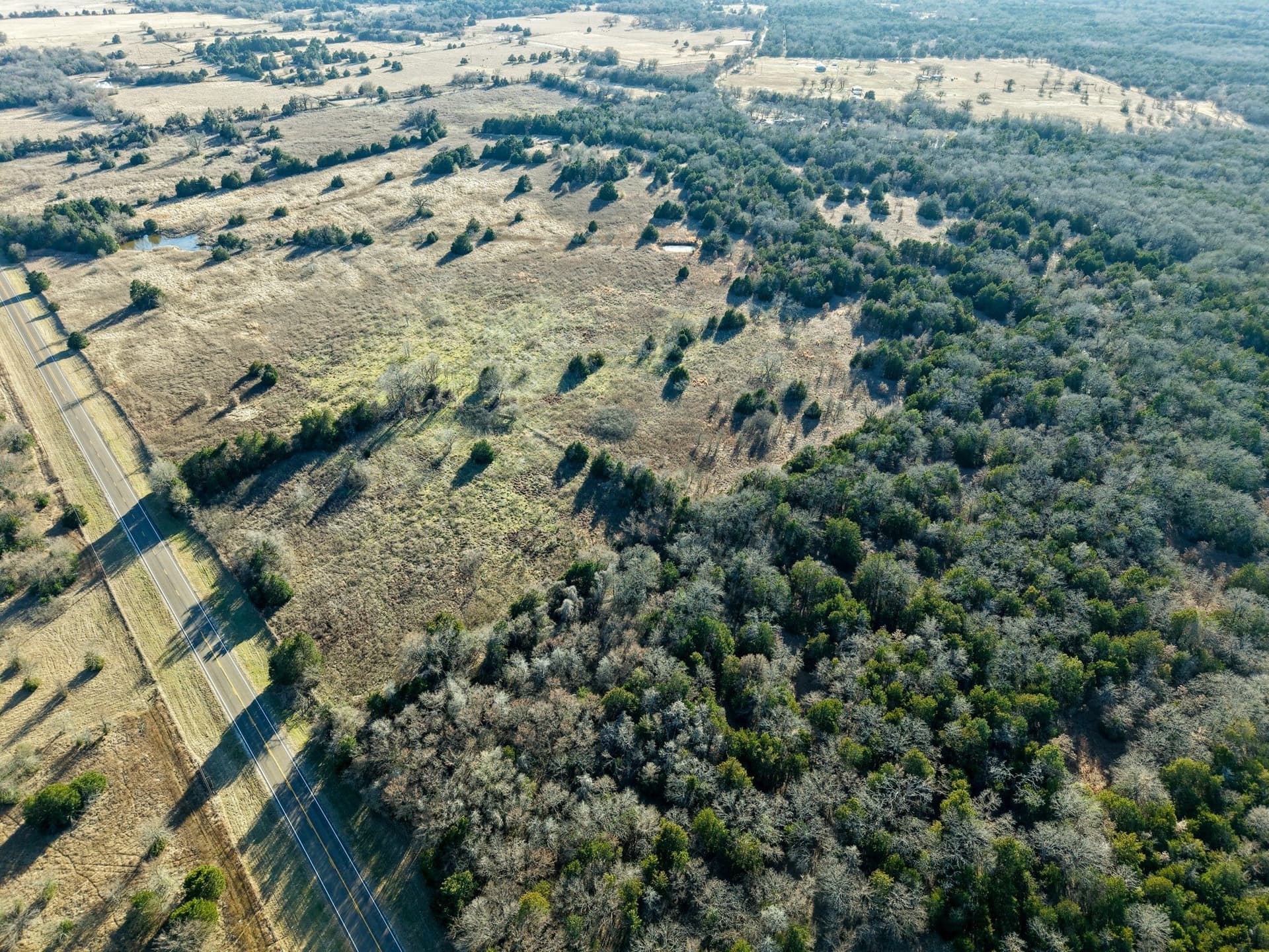 14 acres in Freestone County - photo 5