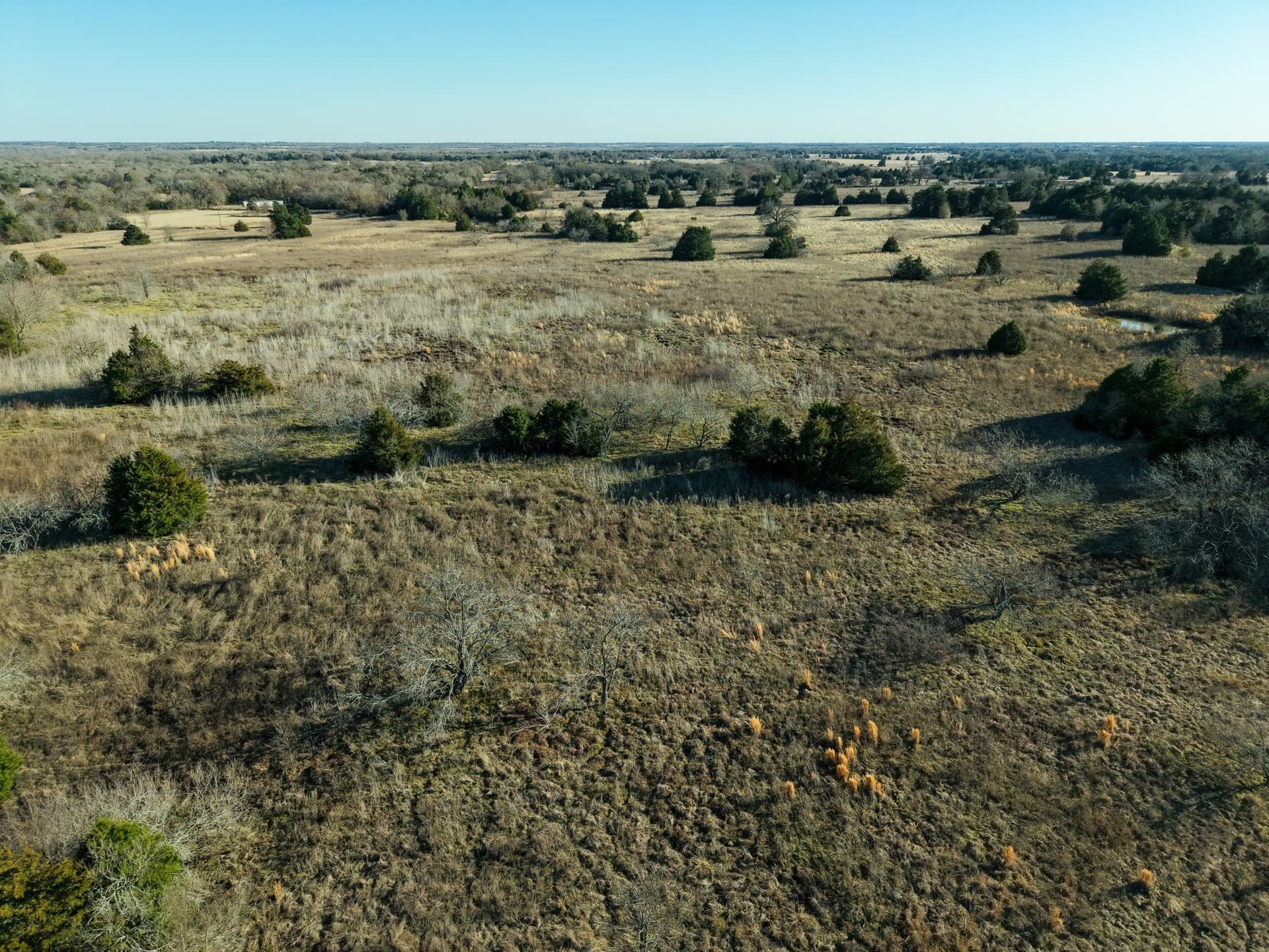 14 acres in Freestone County - photo 13