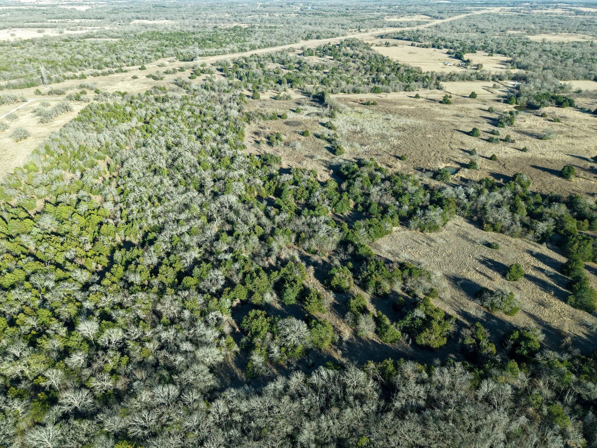 14 acres in Freestone County - photo 6
