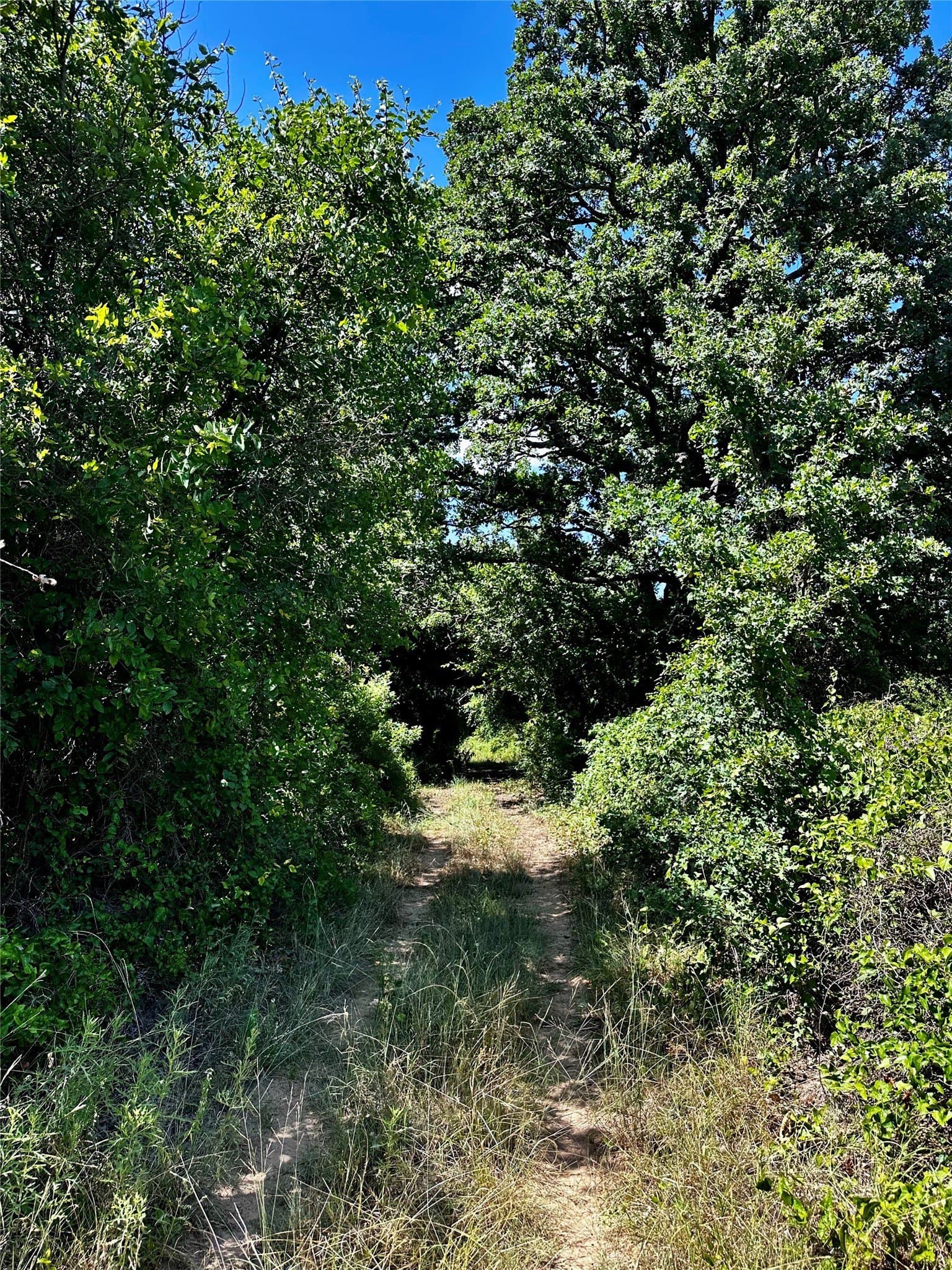 15.99 acres in Brown County - photo 29