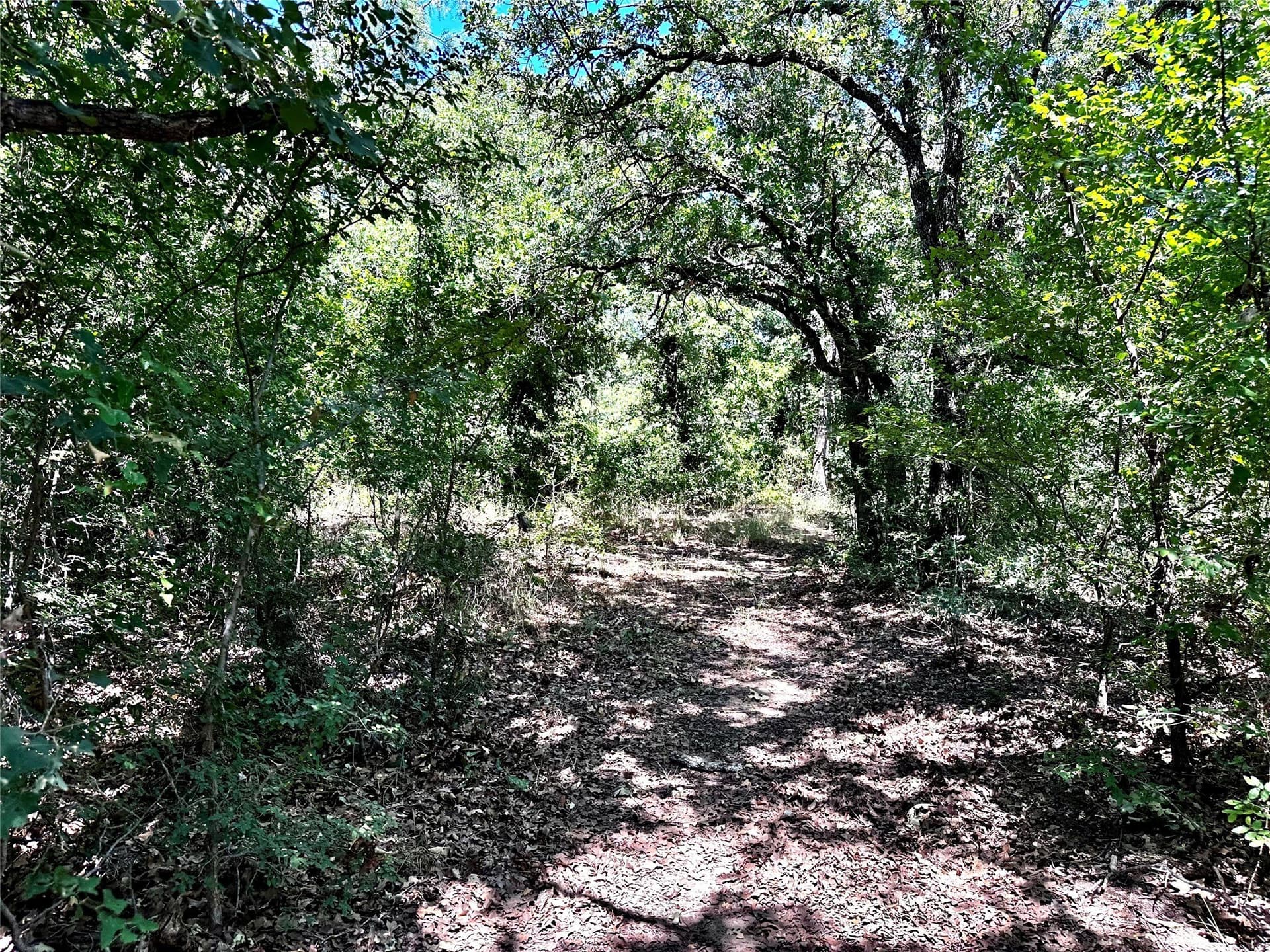 15.99 acres in Brown County - photo 27